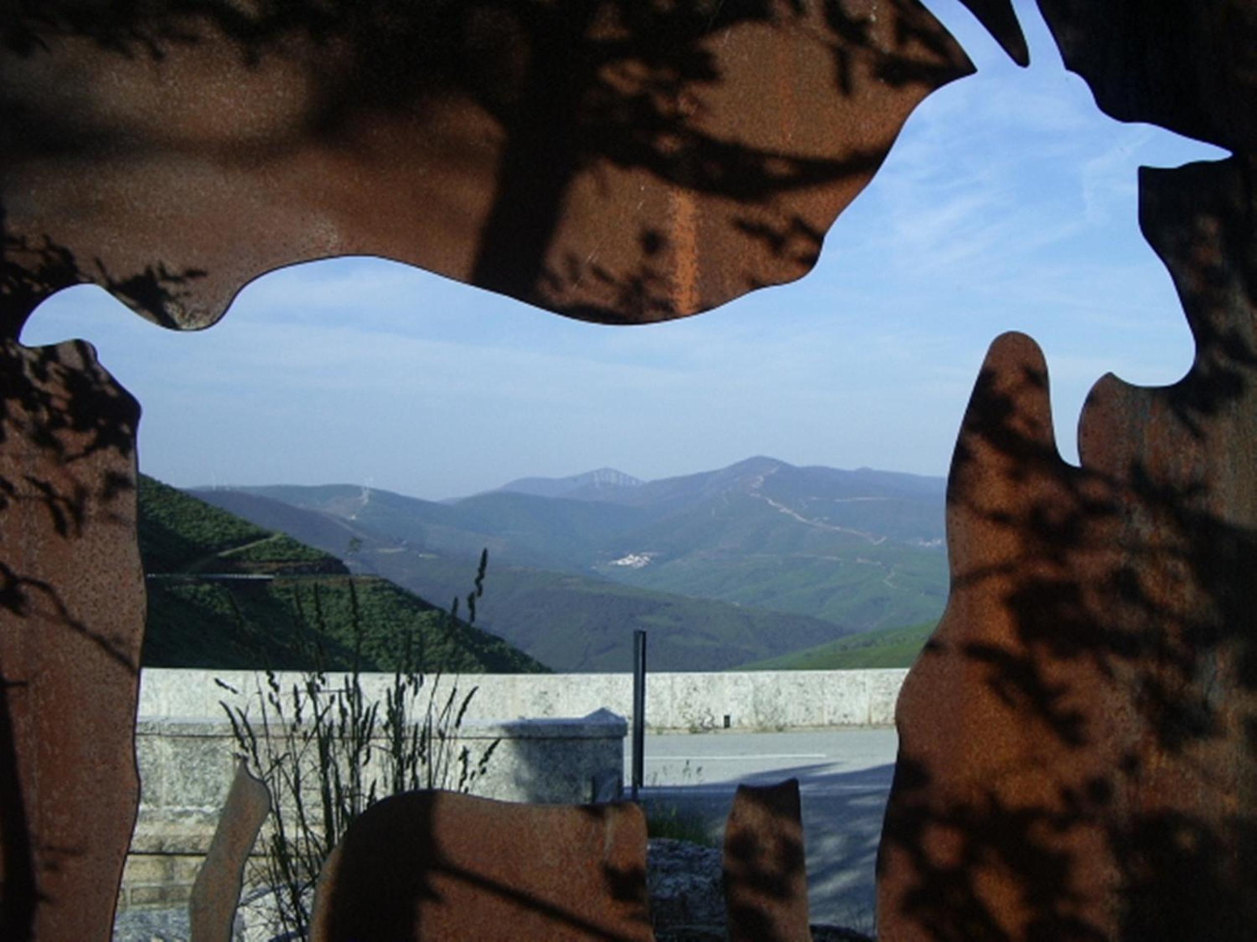 Photo 45