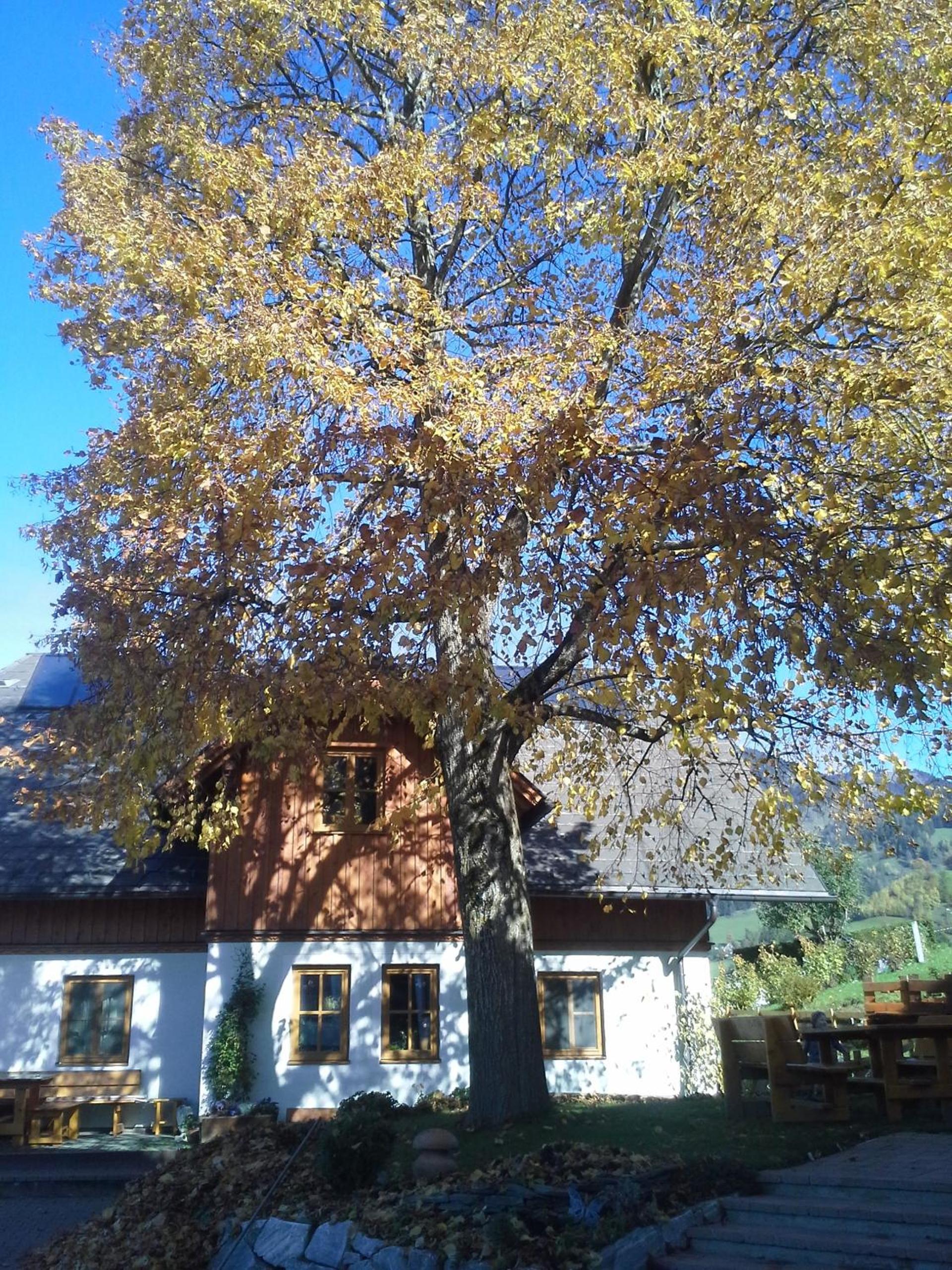 Hüttstädterhof Familie Pötsch