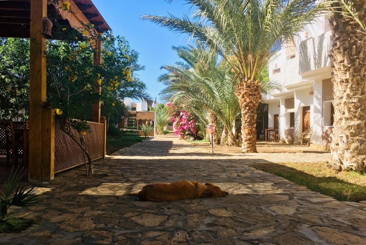 Hotel Jowhara Hotel - Image 1