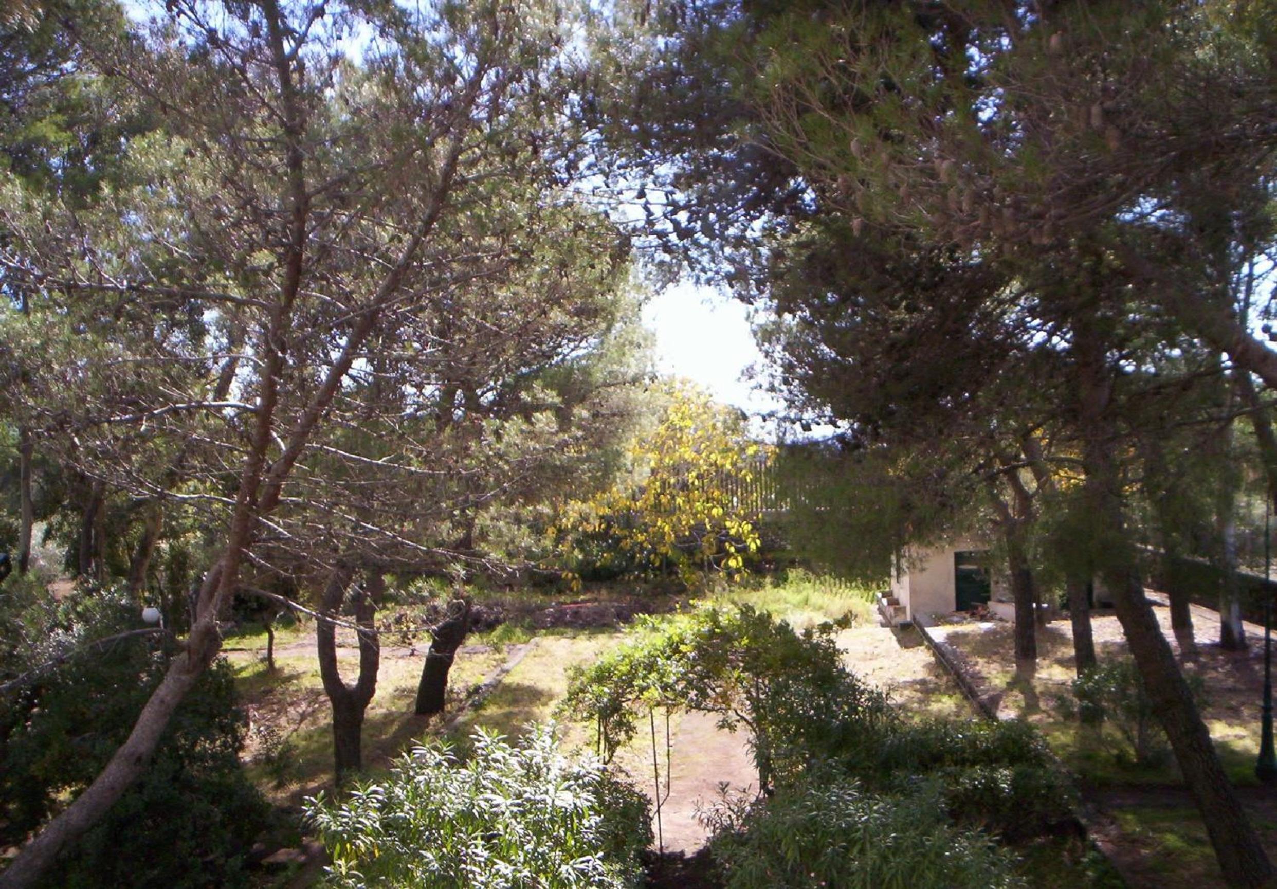 Photo 43
