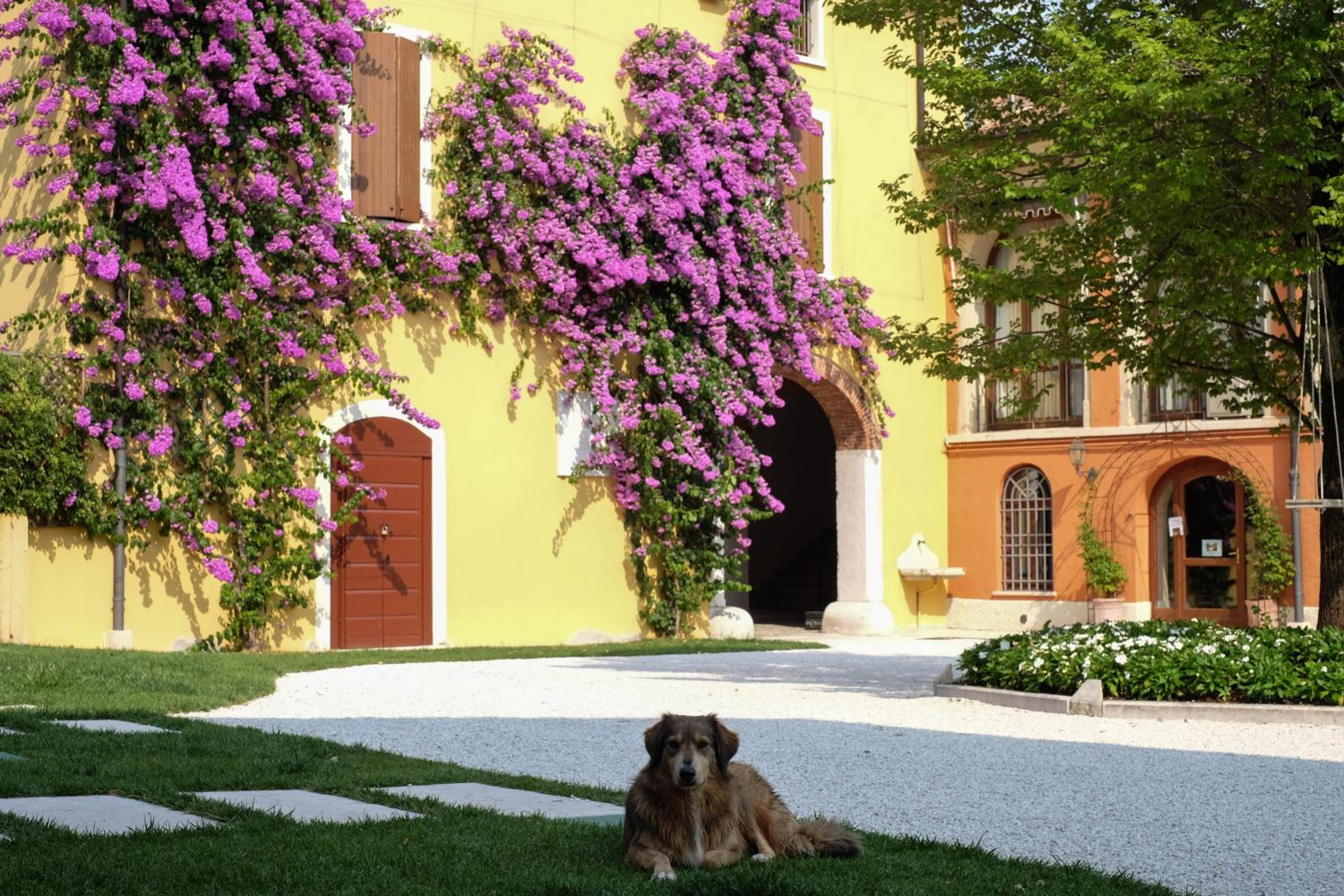 Agriturismo La Filanda