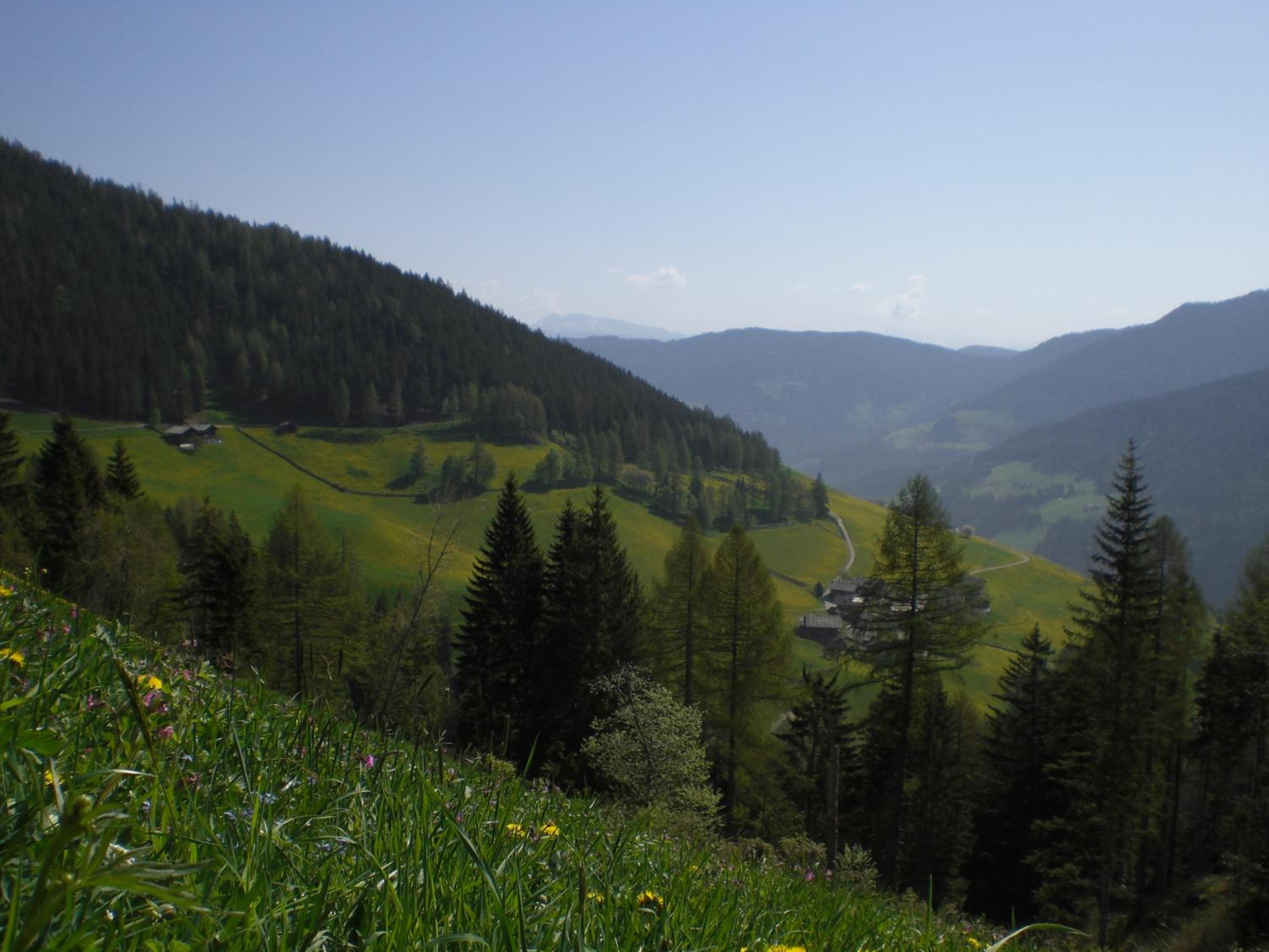 Photo 42