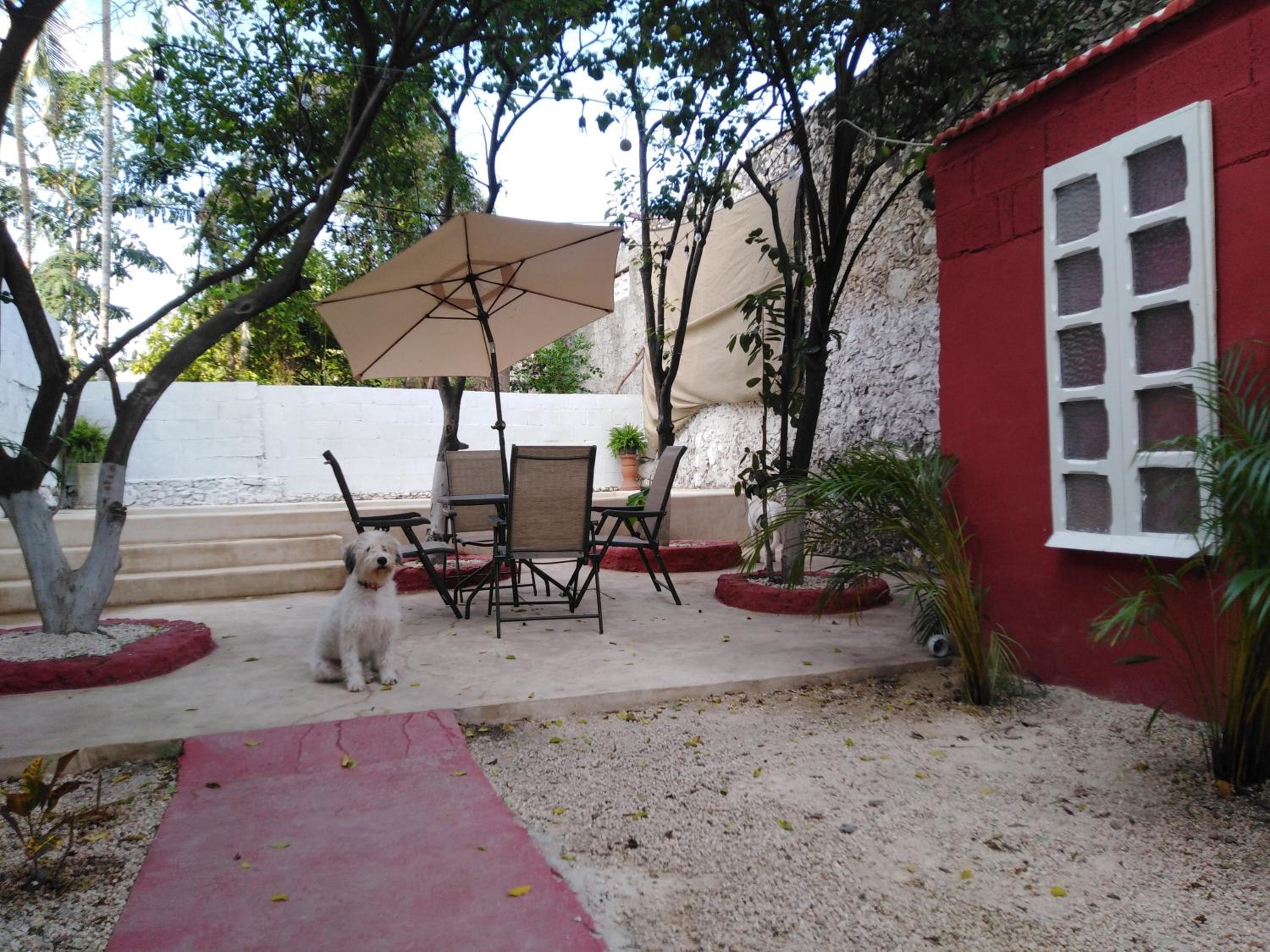 Photo 19