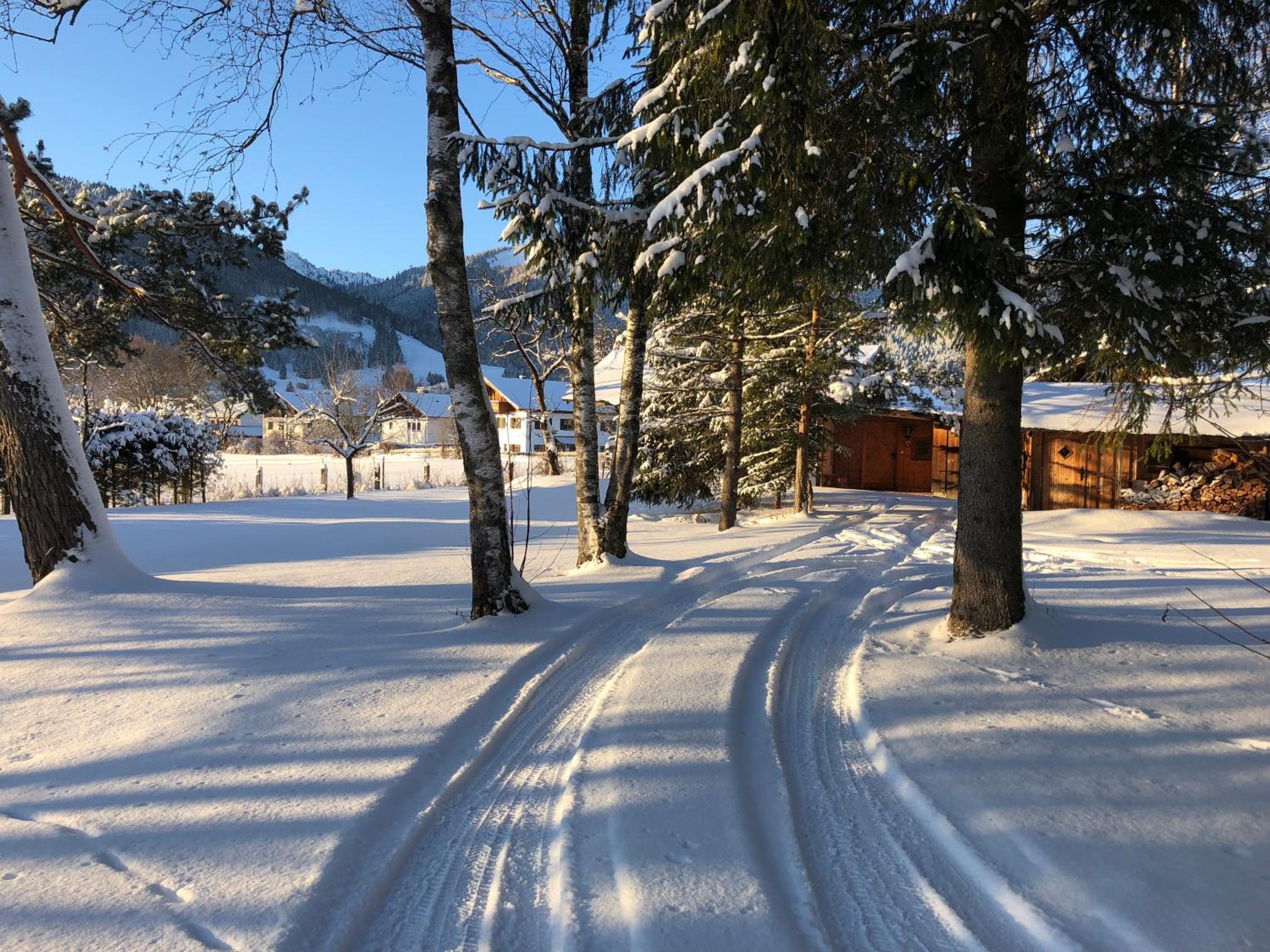 Ferienhaus Veronika mit 2000qm Garten und Bergblick view 5