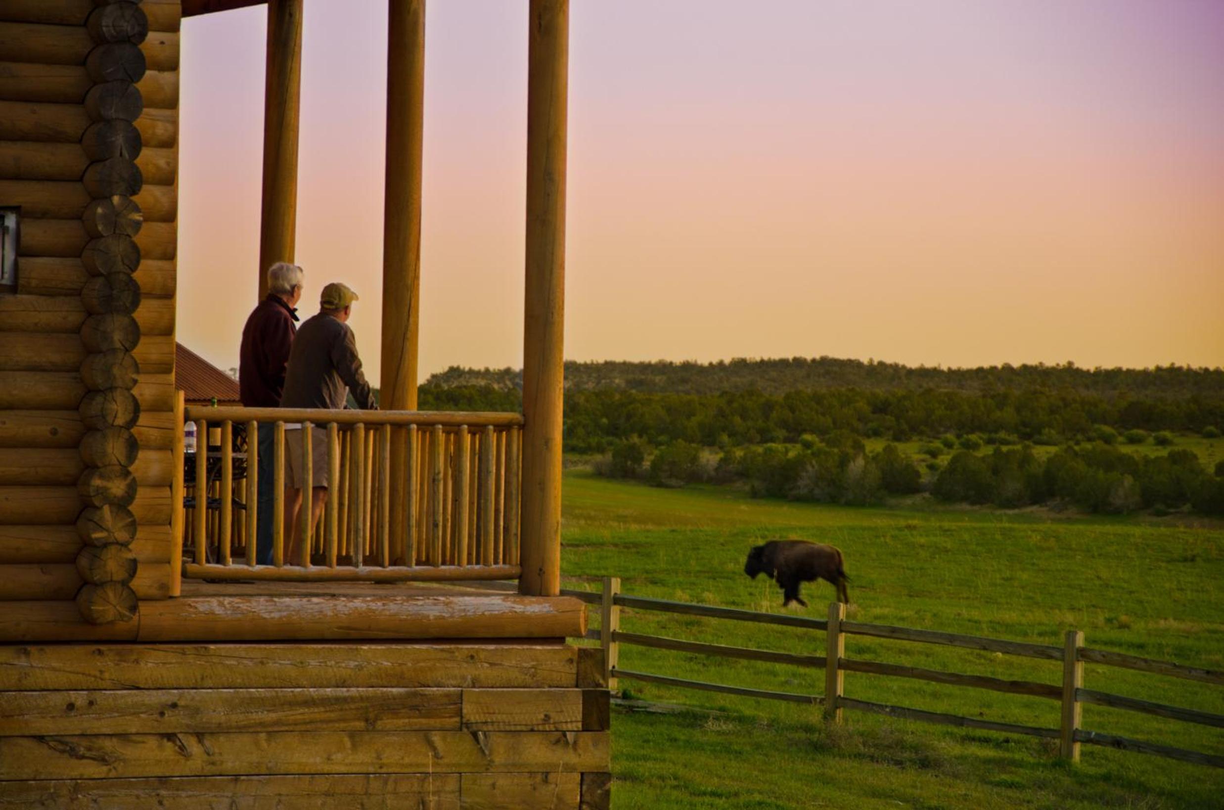 Zion Mountain Ranch