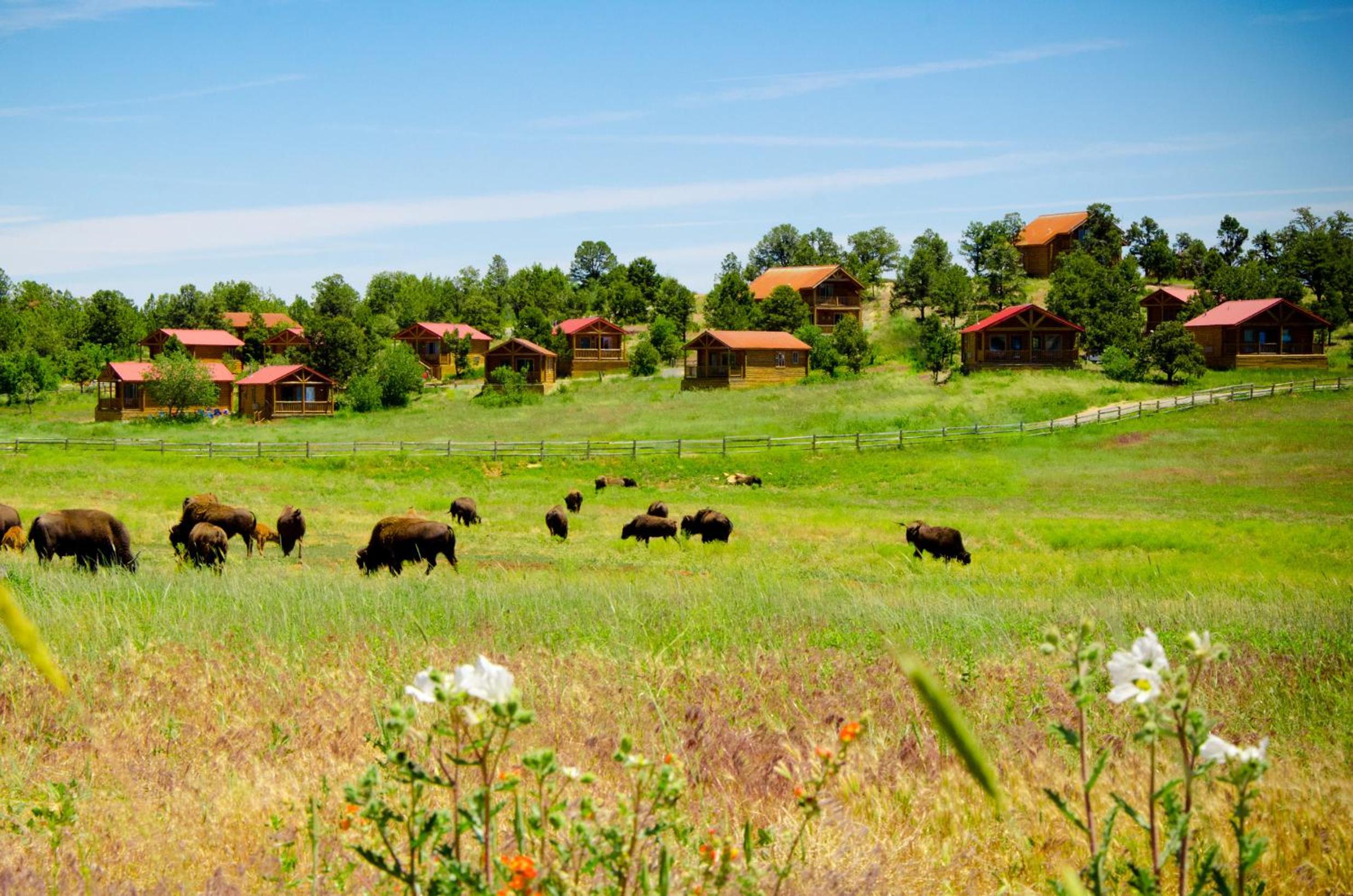 Zion Mountain Ranch