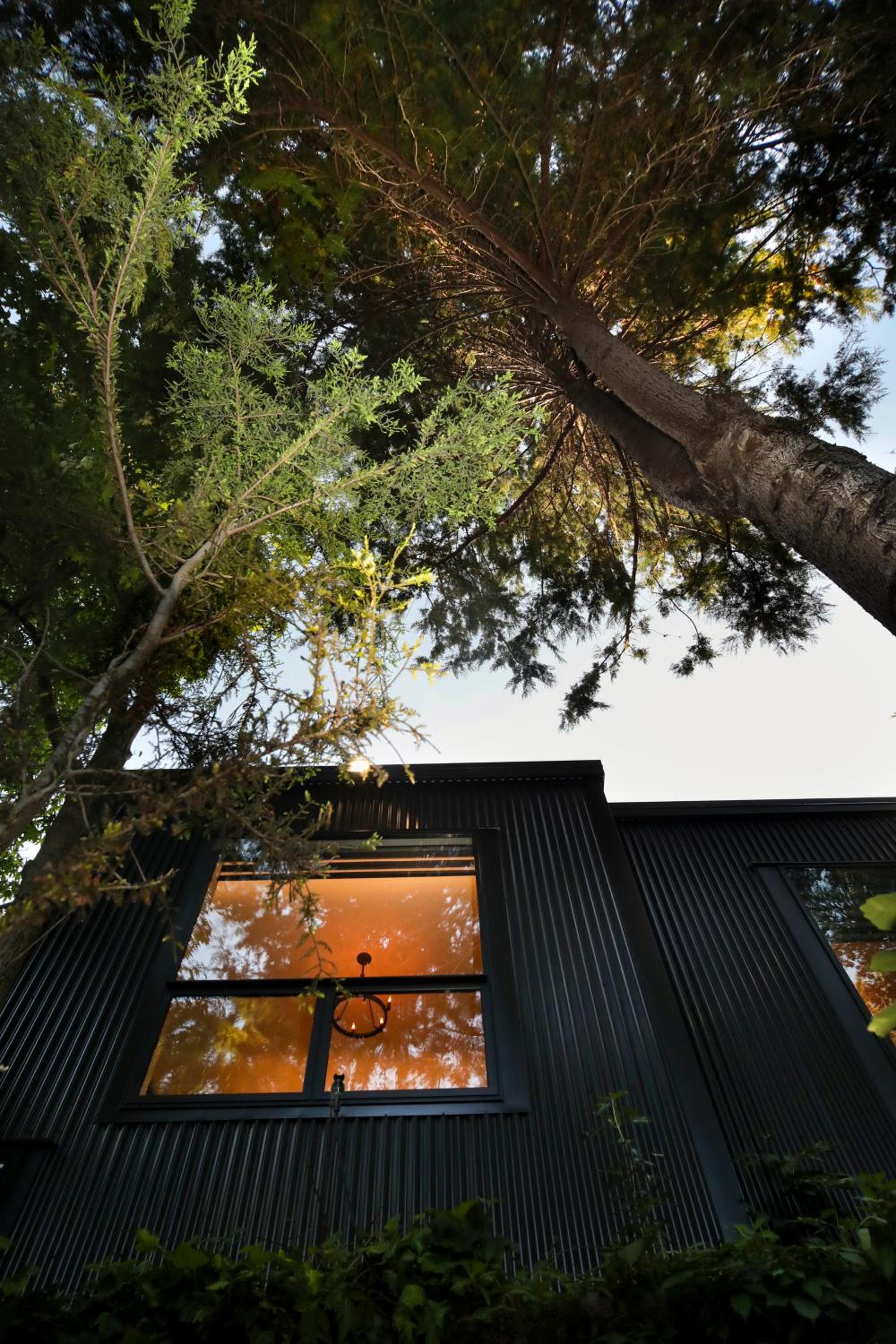 L'amour Nest view 3