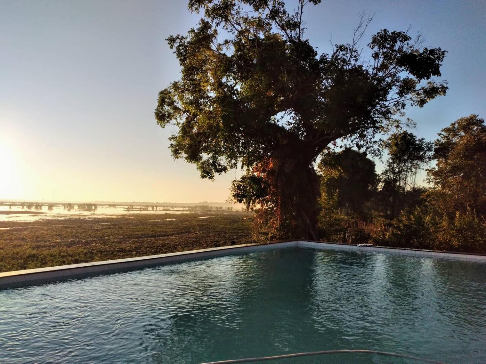 Kingfisher Ecolodge view 5