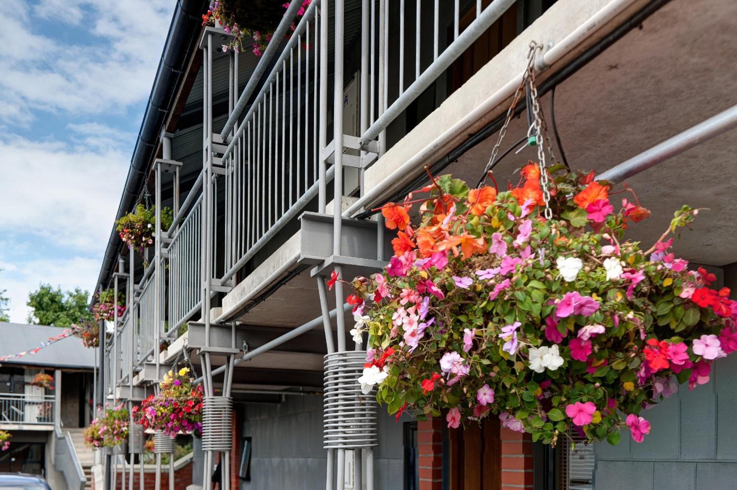 Country Glen Lodge - Image 5