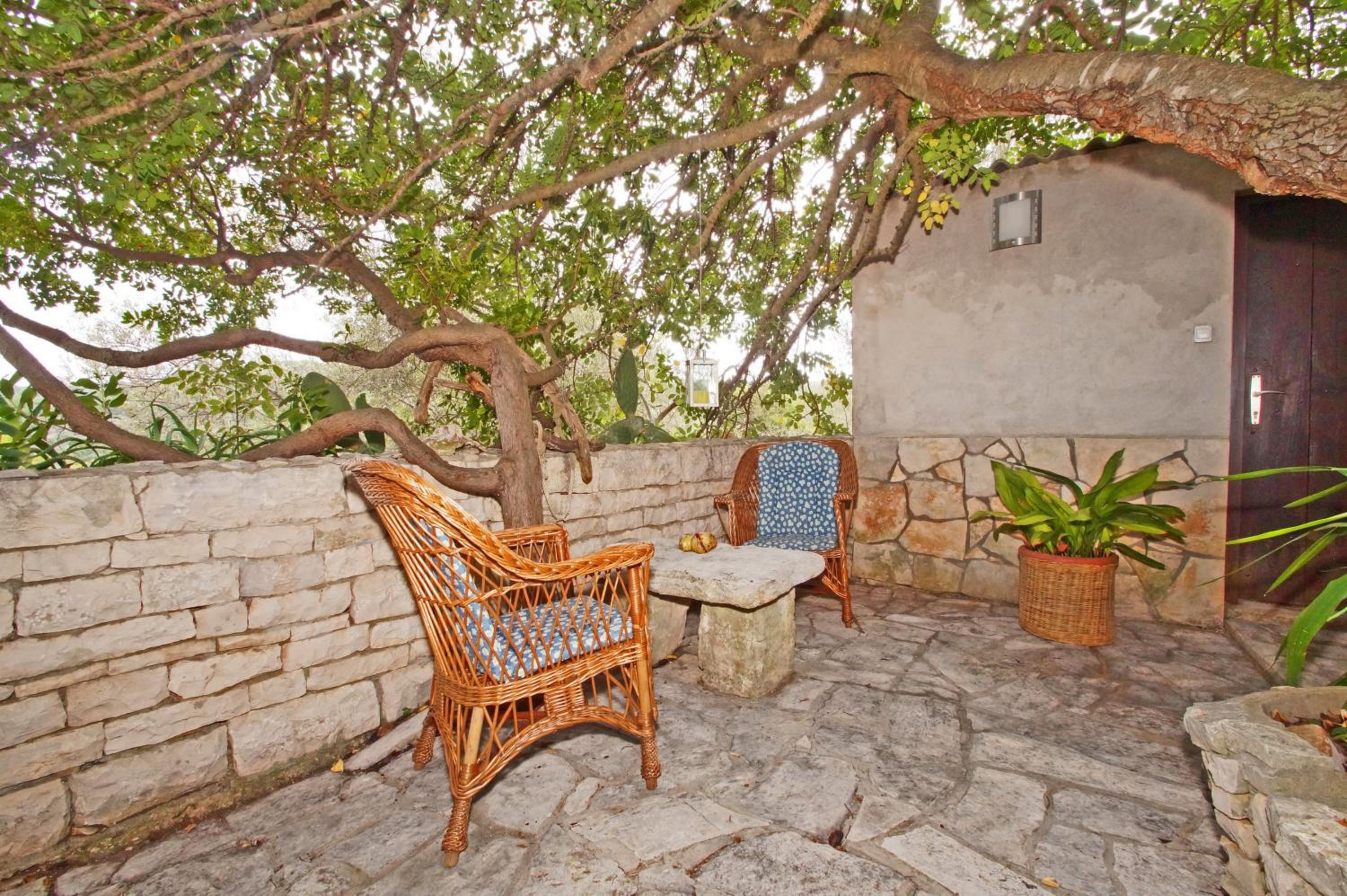 Vacation House Planika view 4
