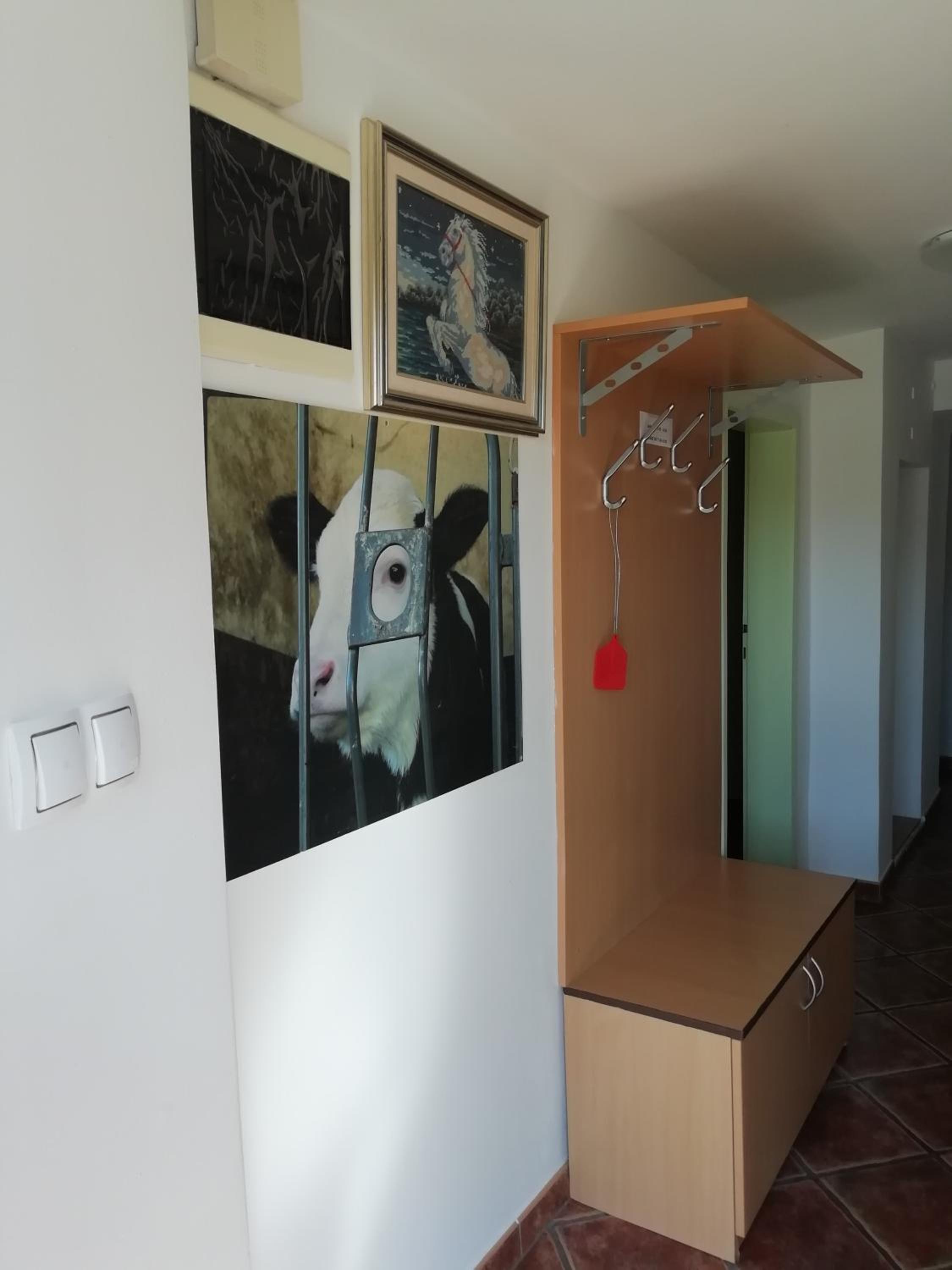 Apartma Pr' Vok view 3