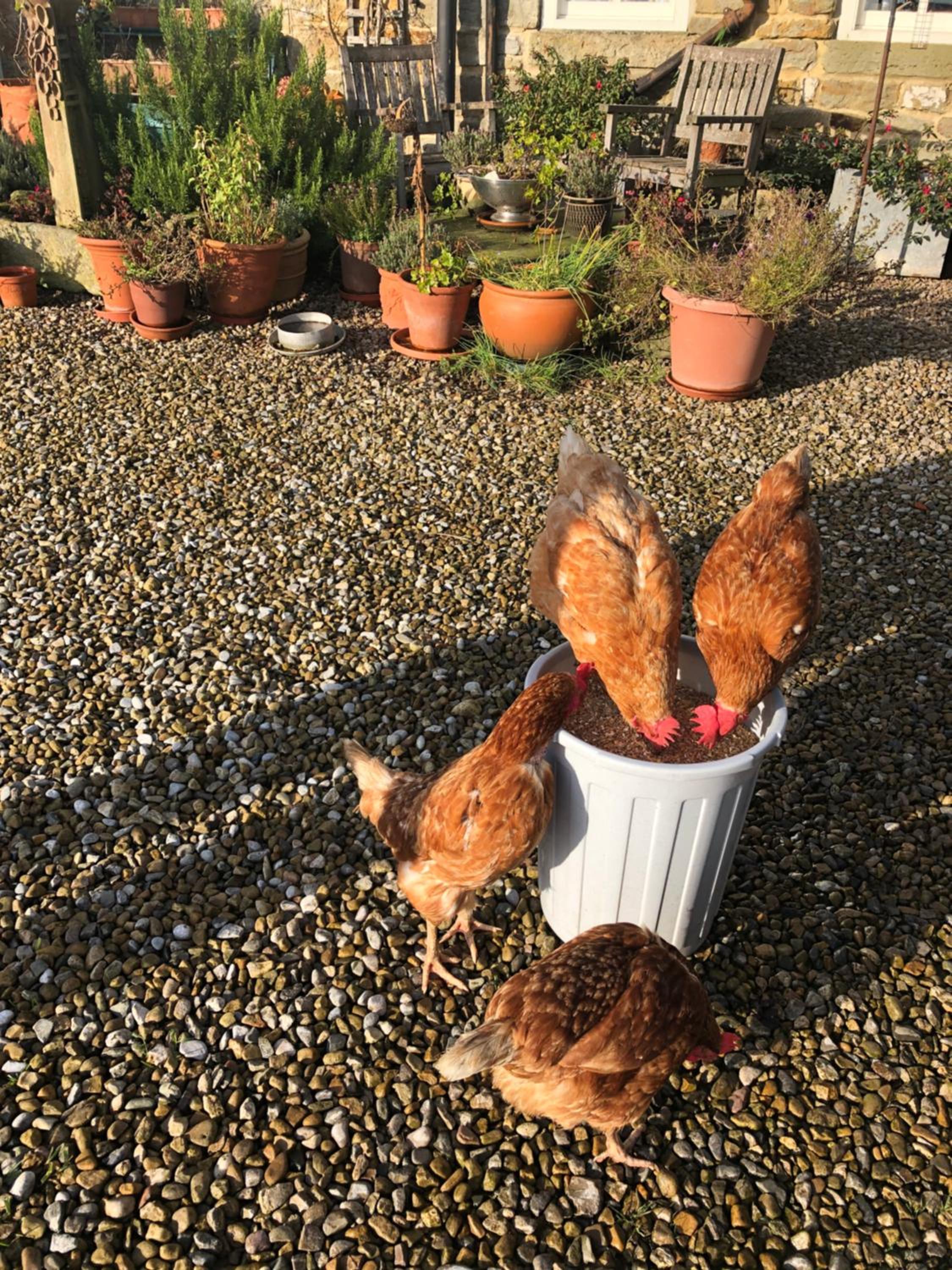 Folly Hall Farm