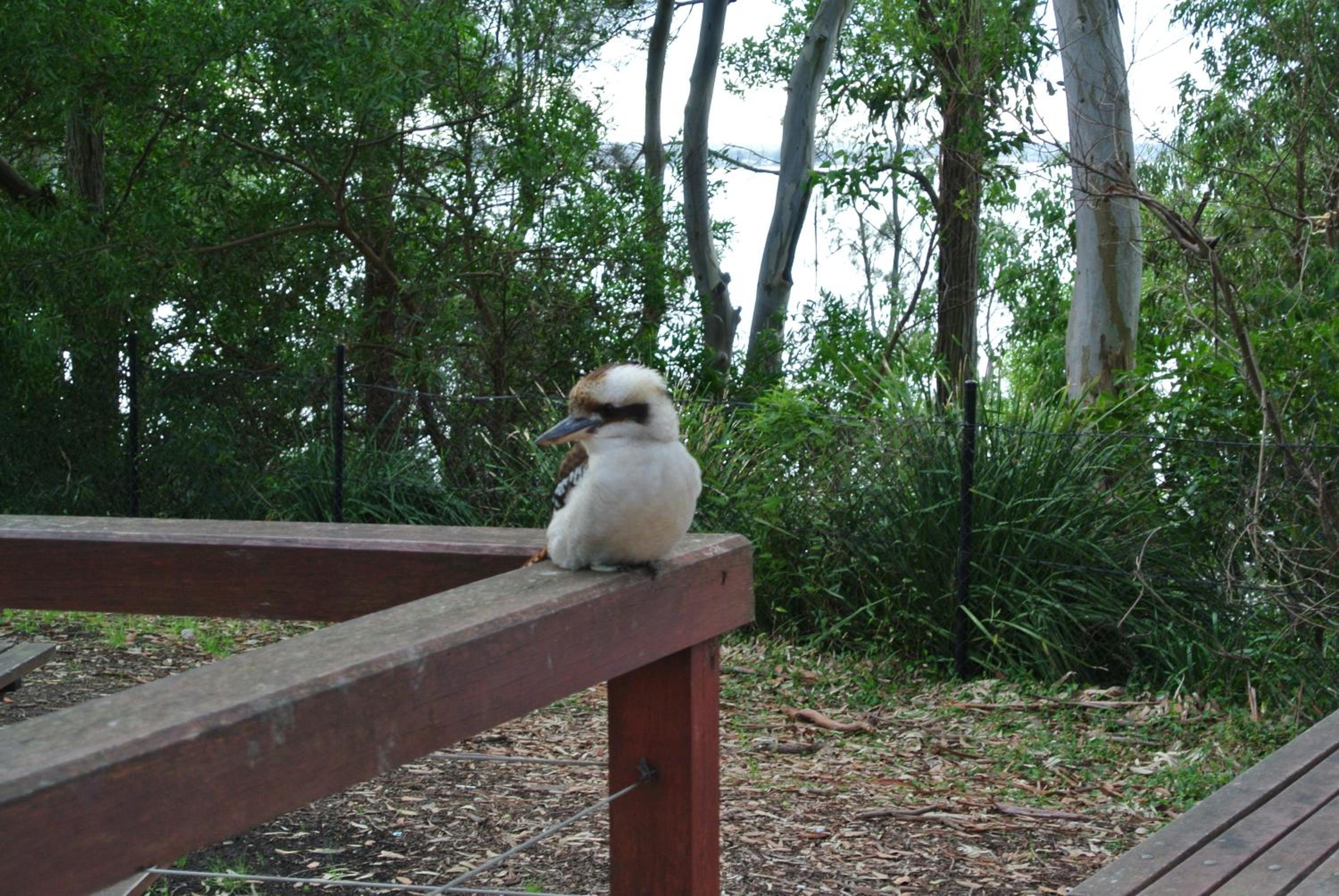 Huskisson Beach Motel