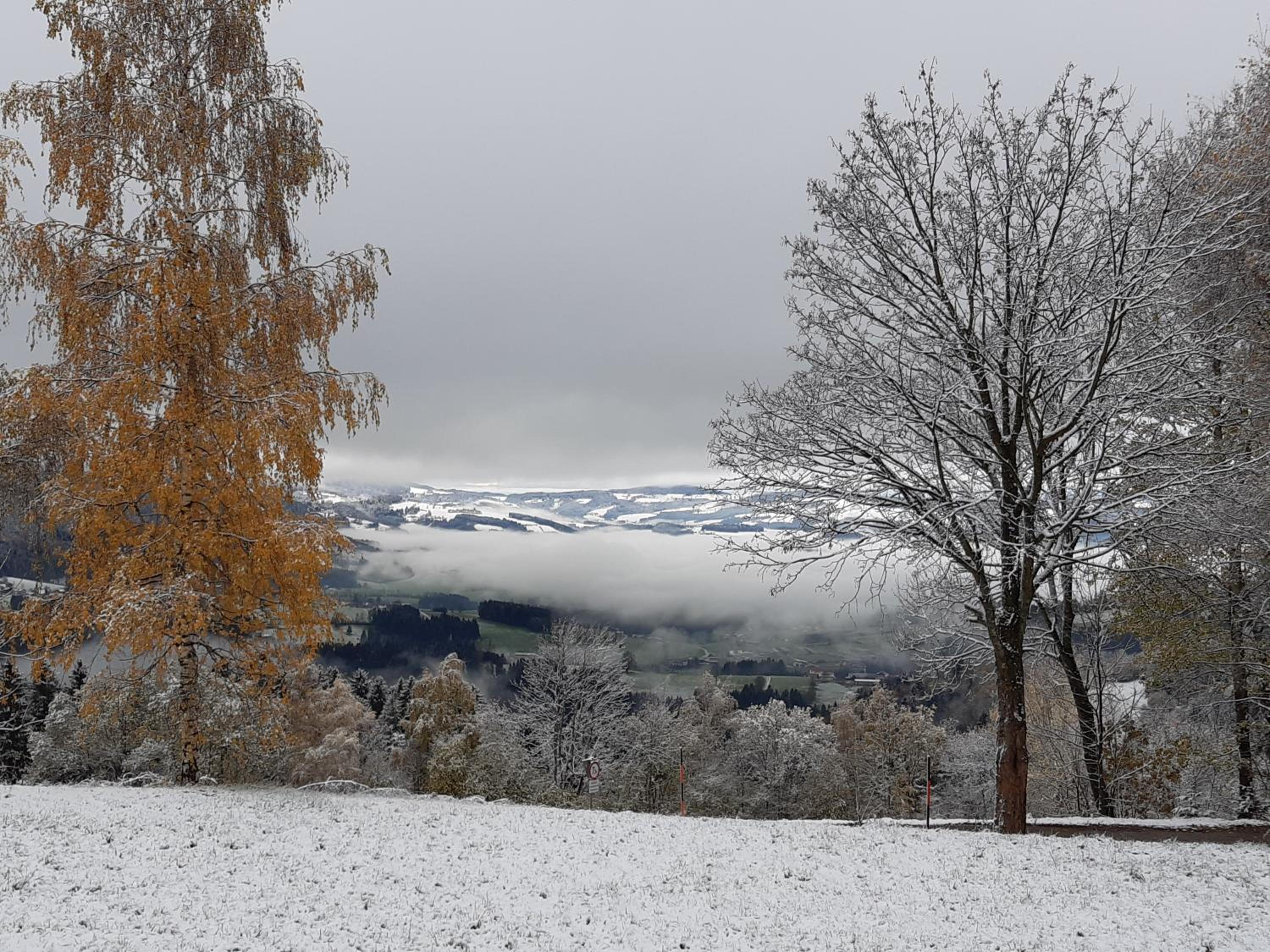 Winter´s Panoramahäuschen