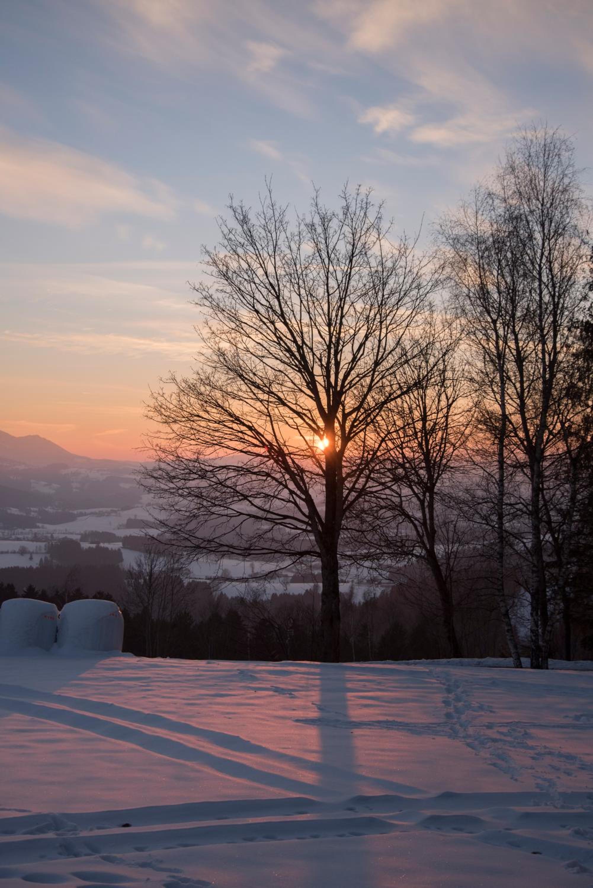 Winter´s Panoramahäuschen