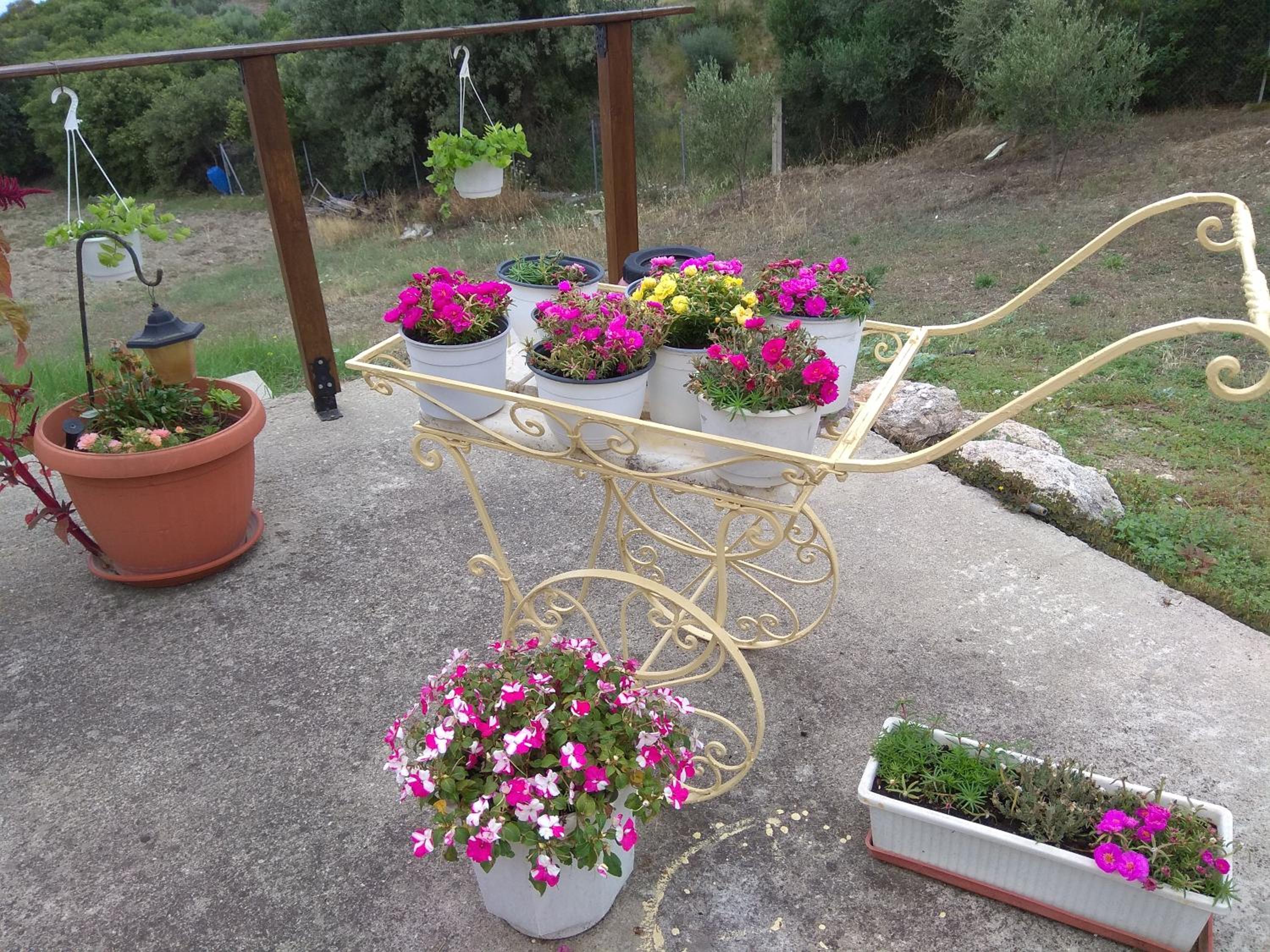Photo 15