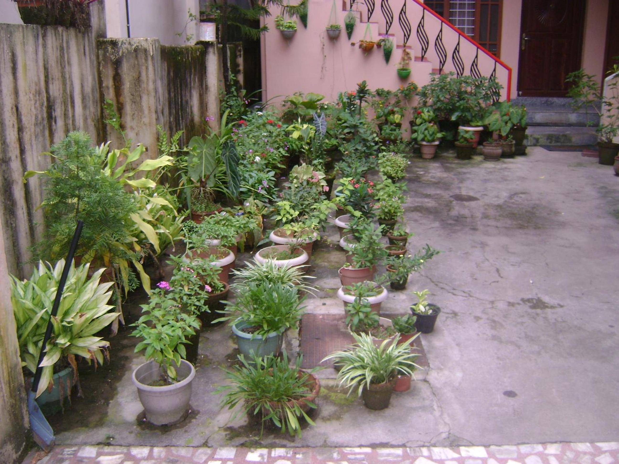 Photo 8