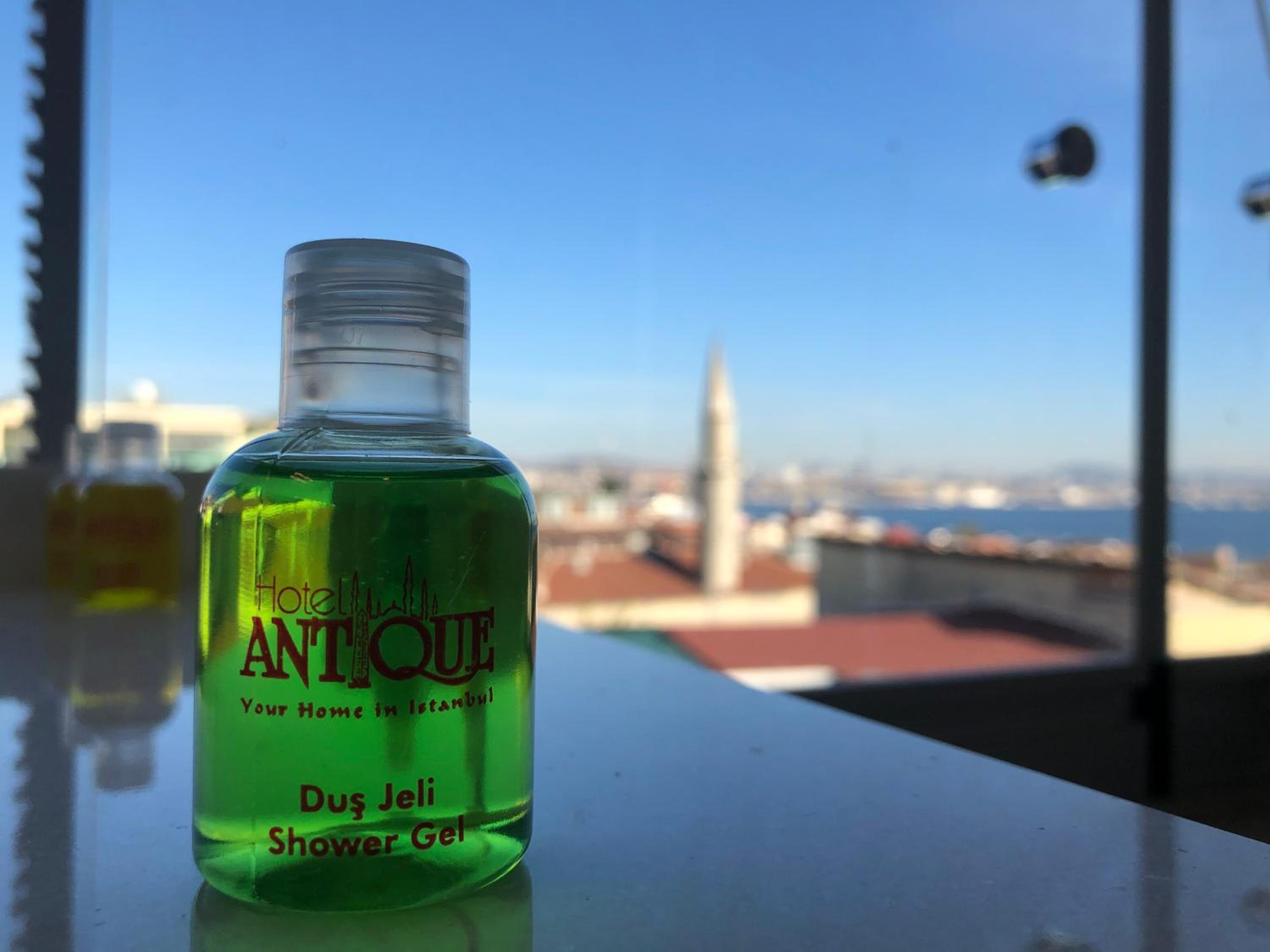 Hotel Antique - Image 85