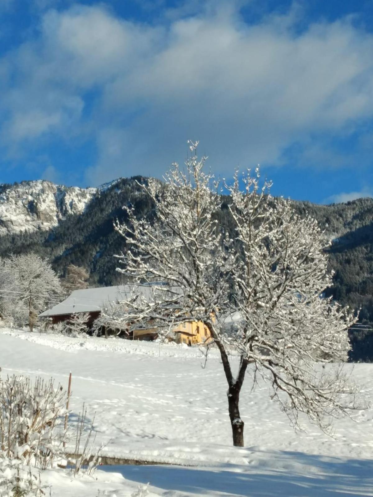 Gailtal Panorama