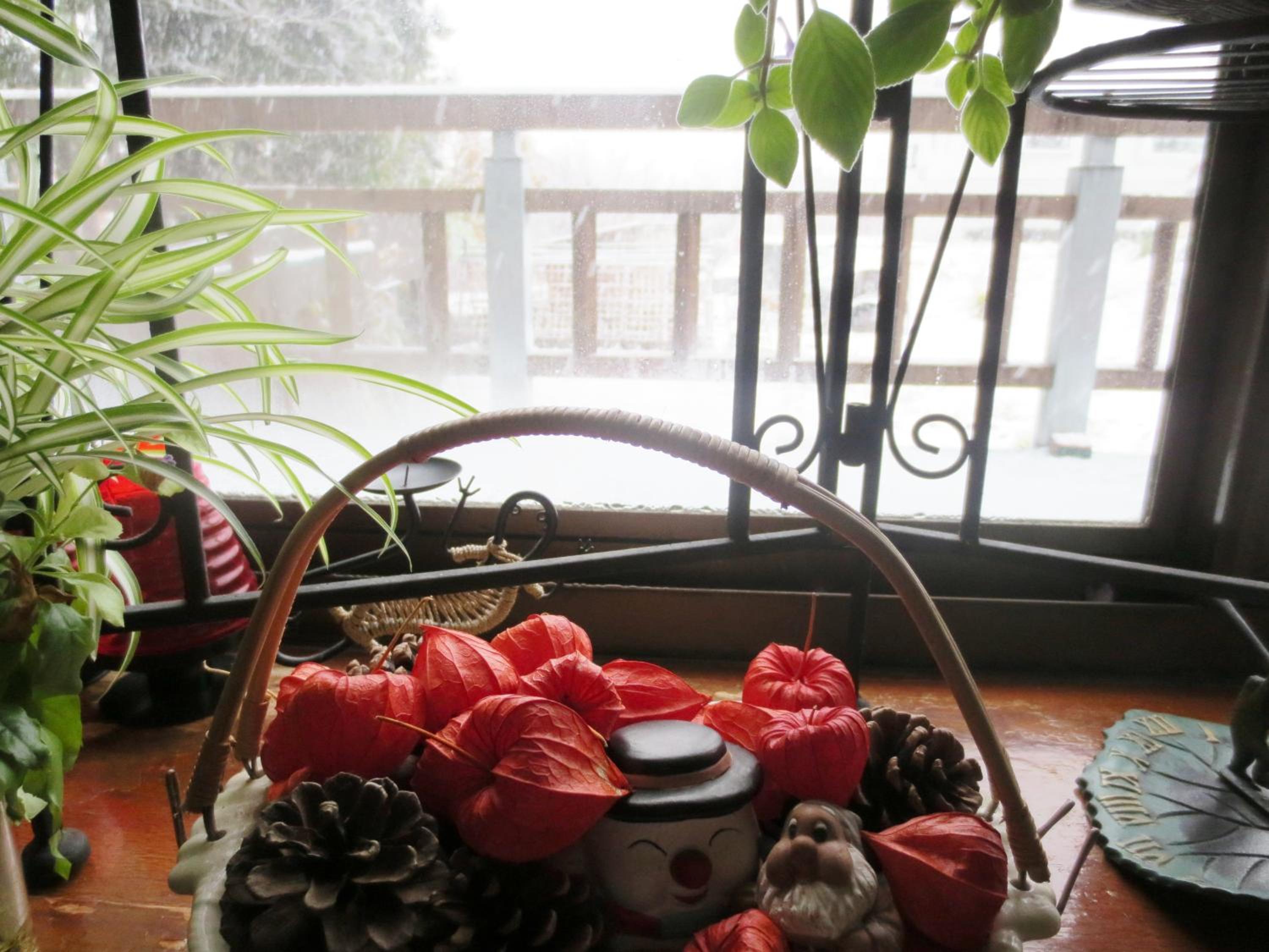Photo 18