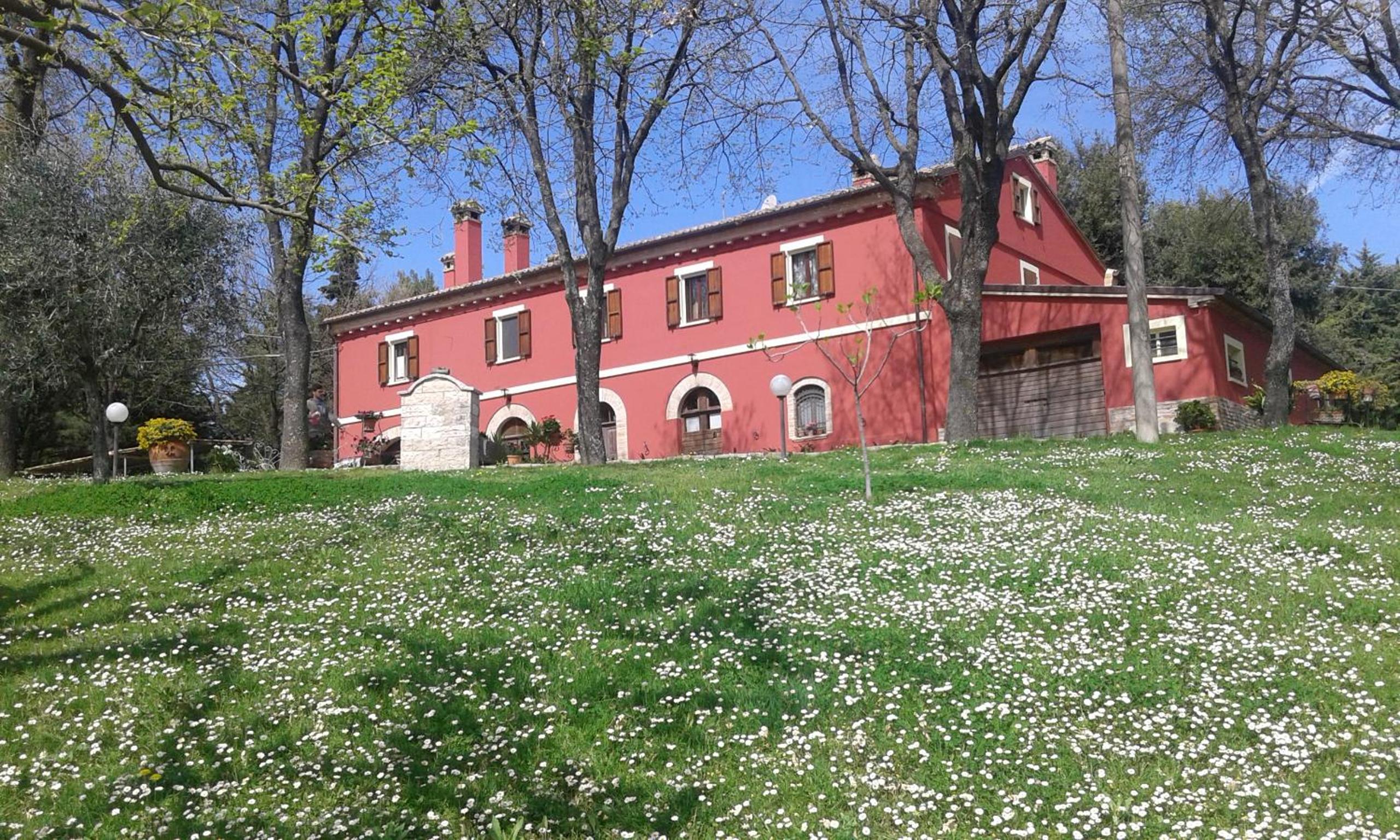 Photo 25