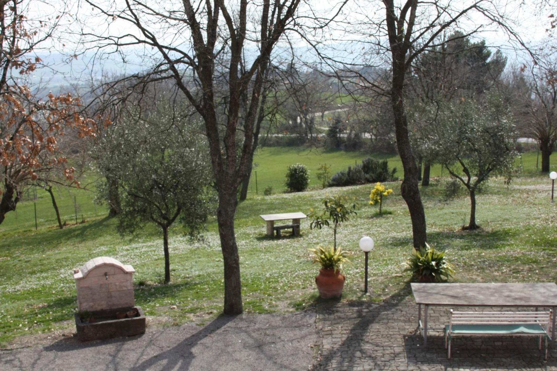 Photo 11