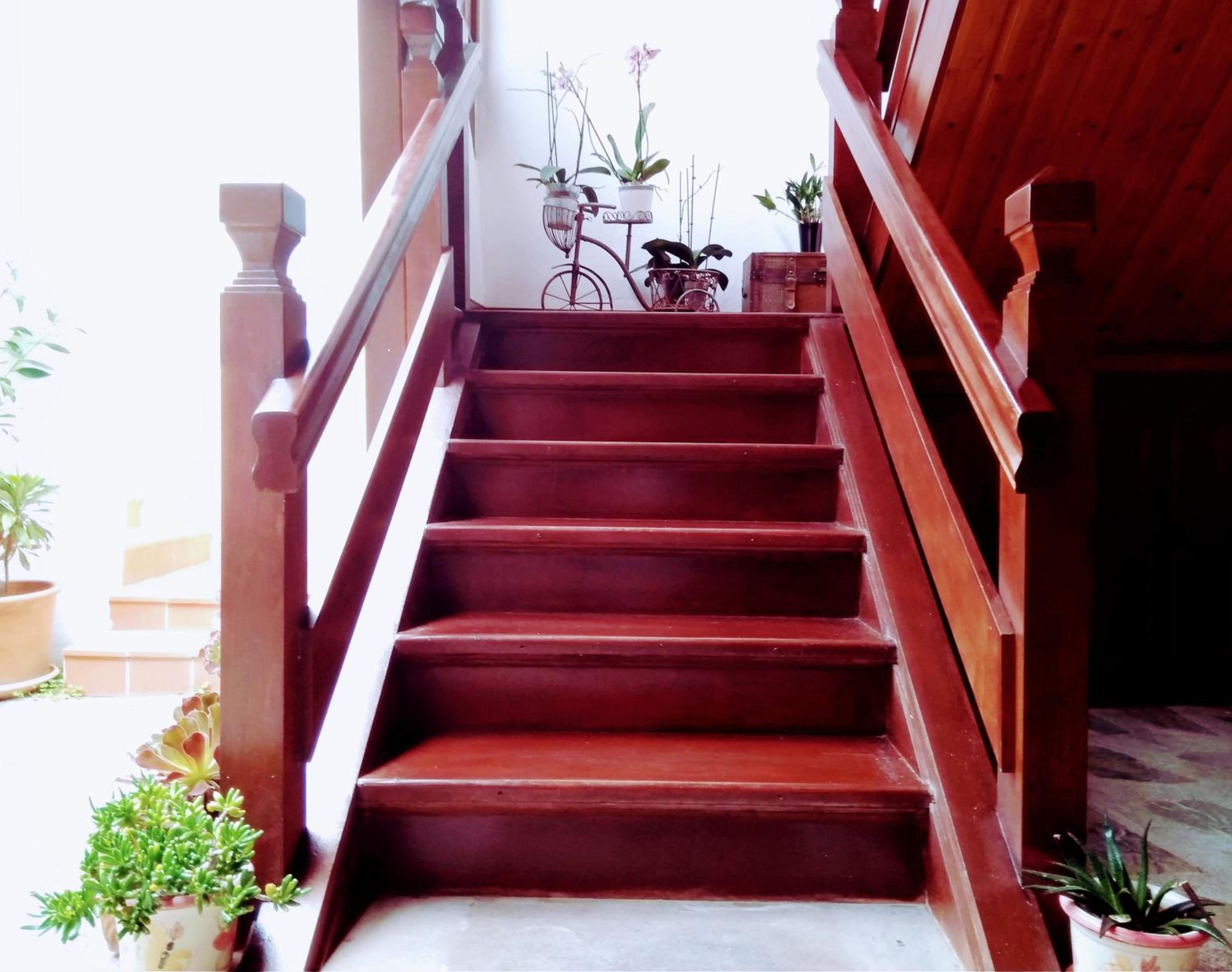 Casa Rural Los Helechos