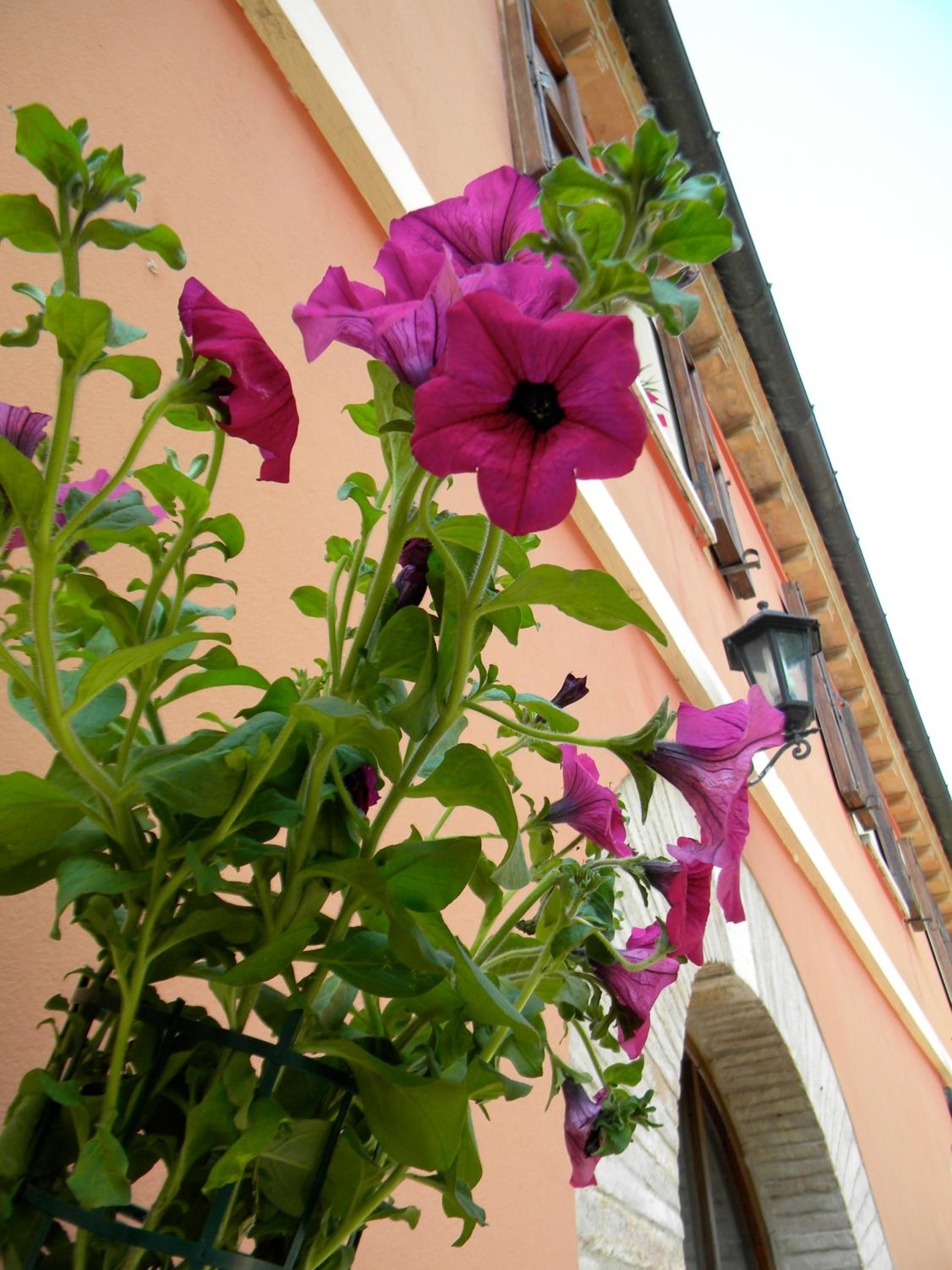 Casa Vacanze La Meridiana view 5