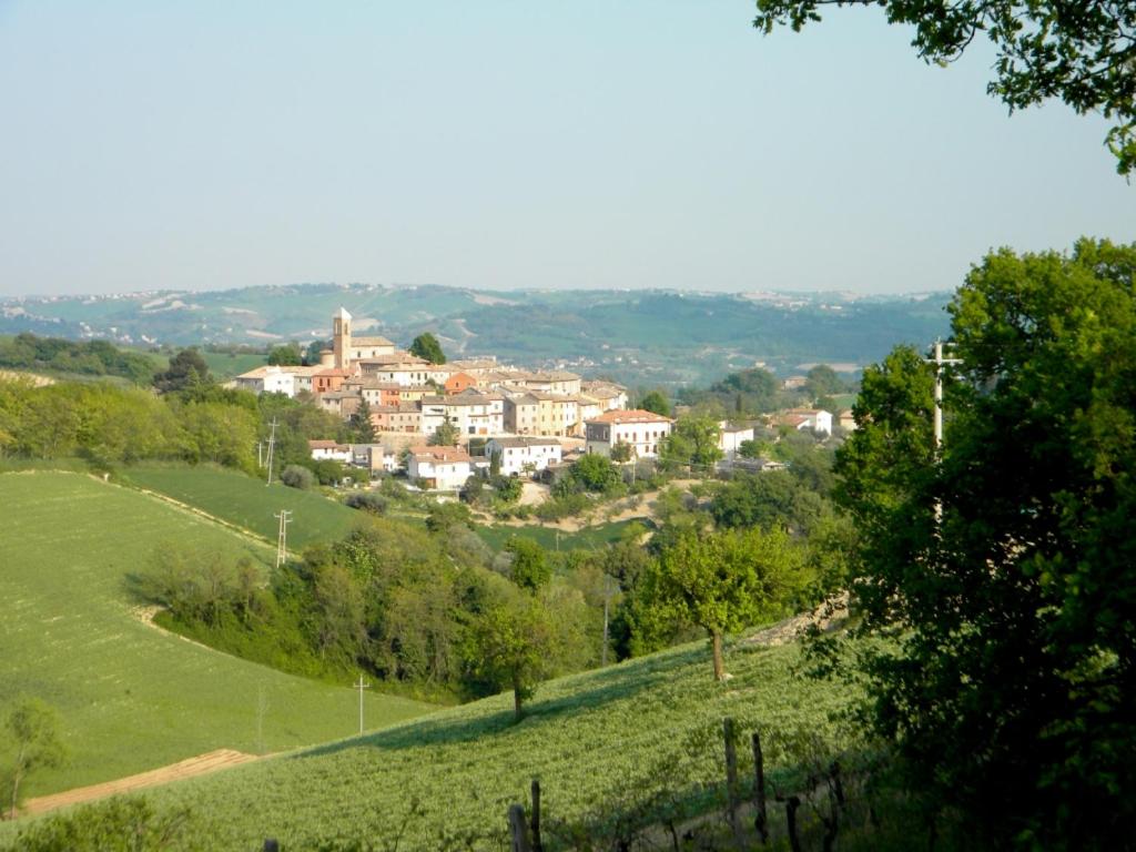 Photo 43