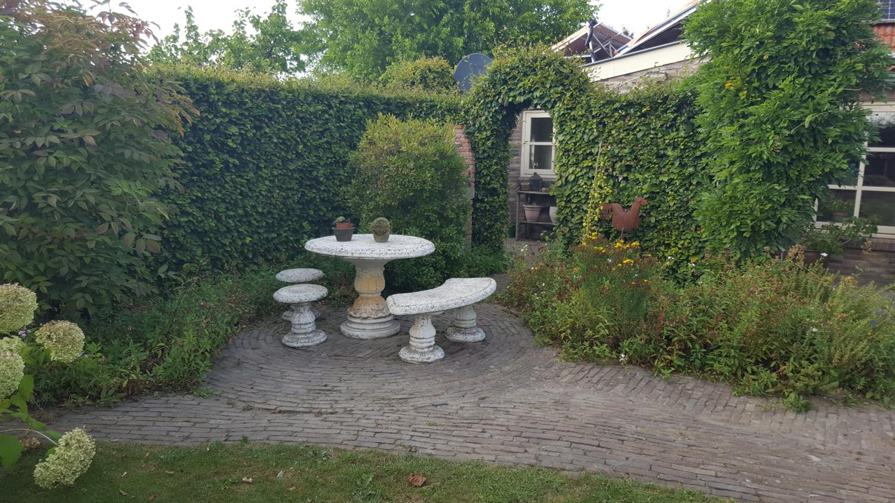 Photo 10