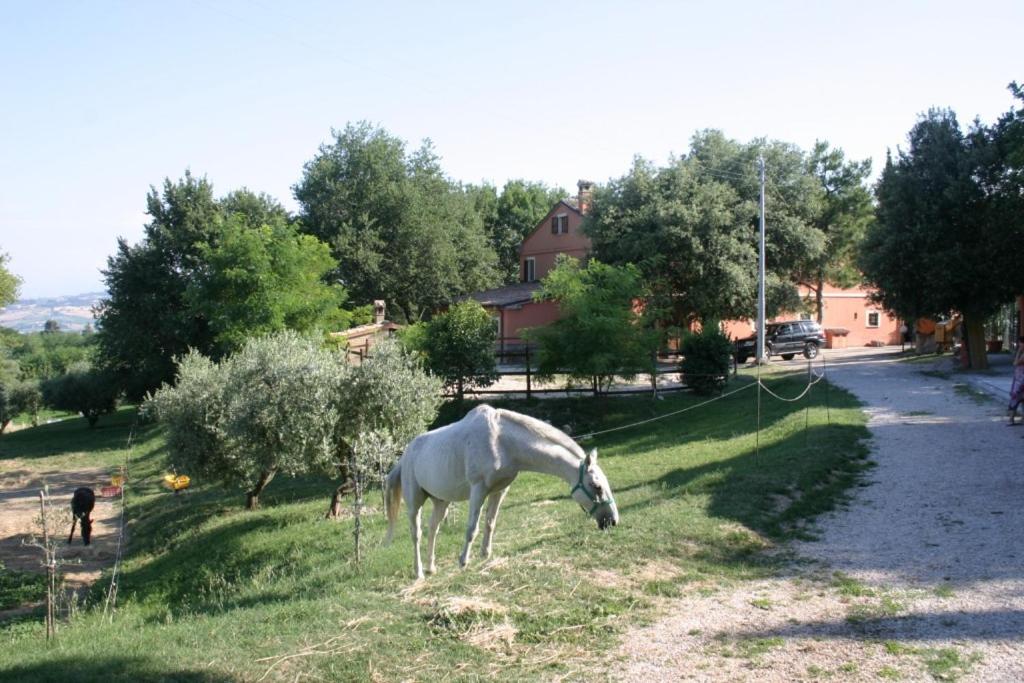 Casa Vacanze La Meridiana view 4
