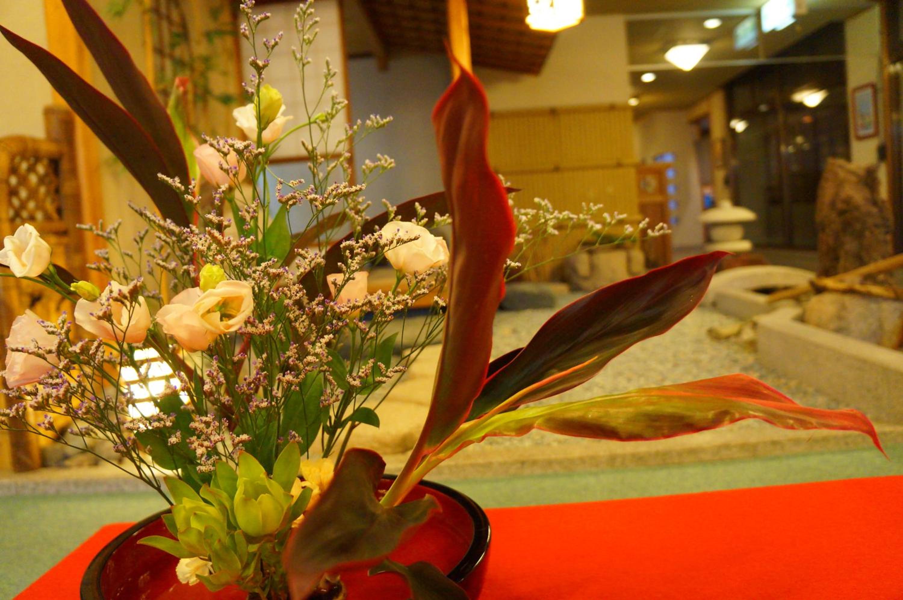 Photo 7