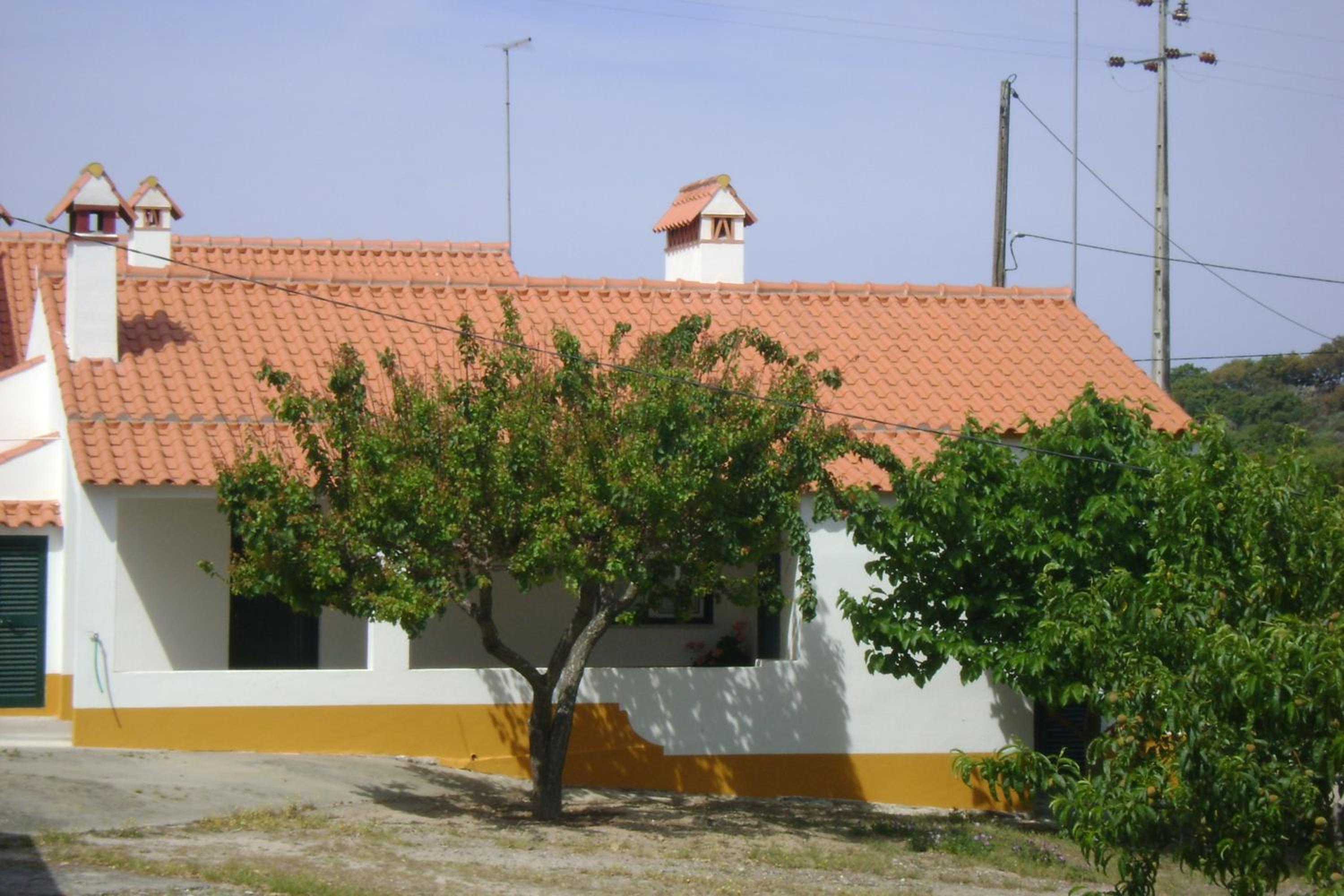 Photo 32
