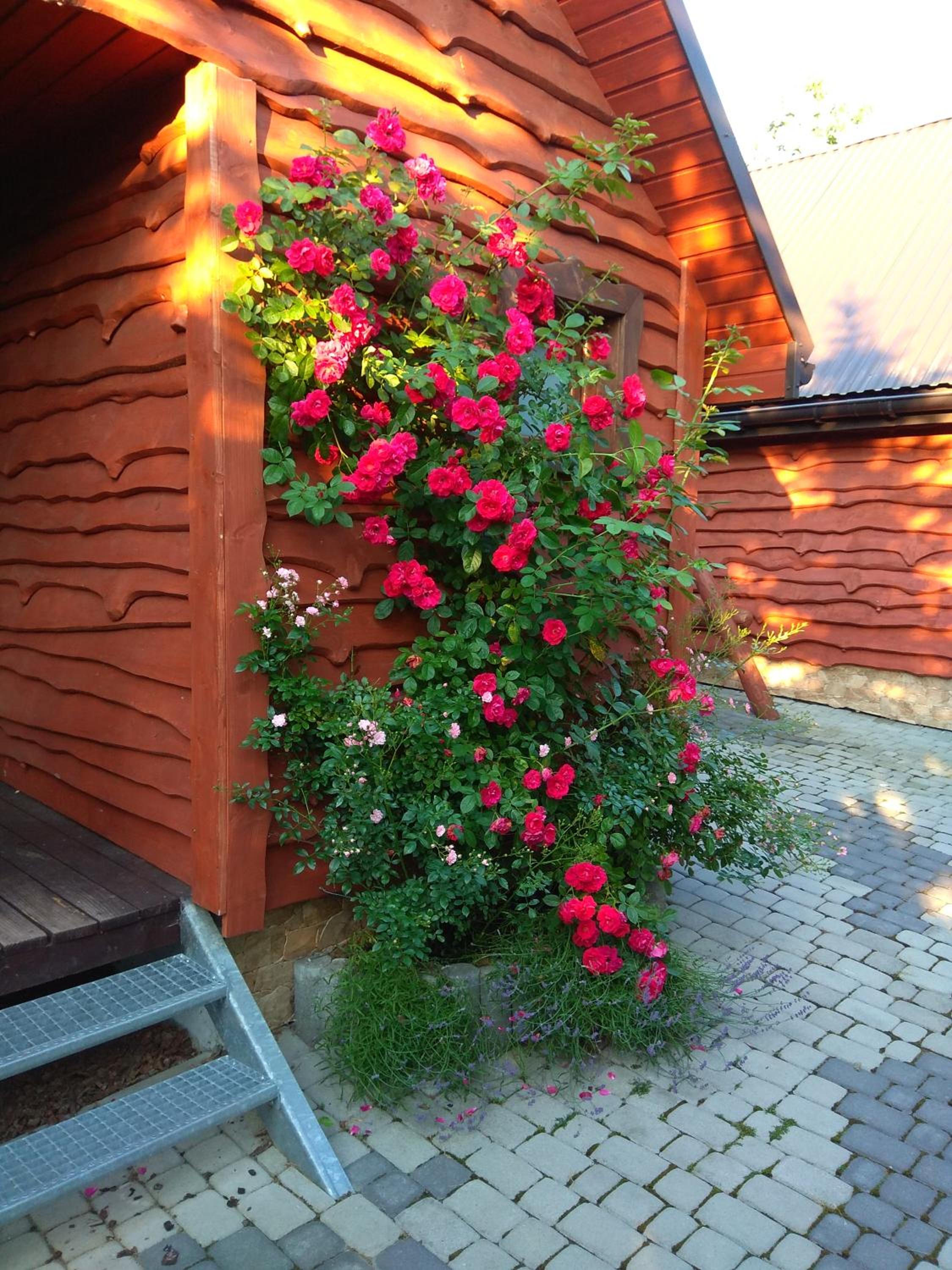 Photo 56