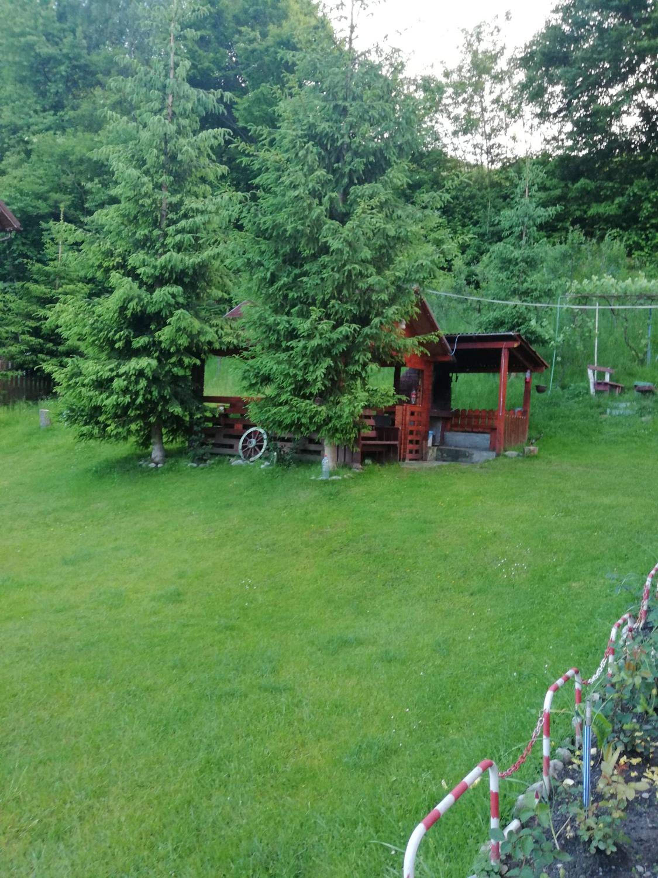 Photo 29