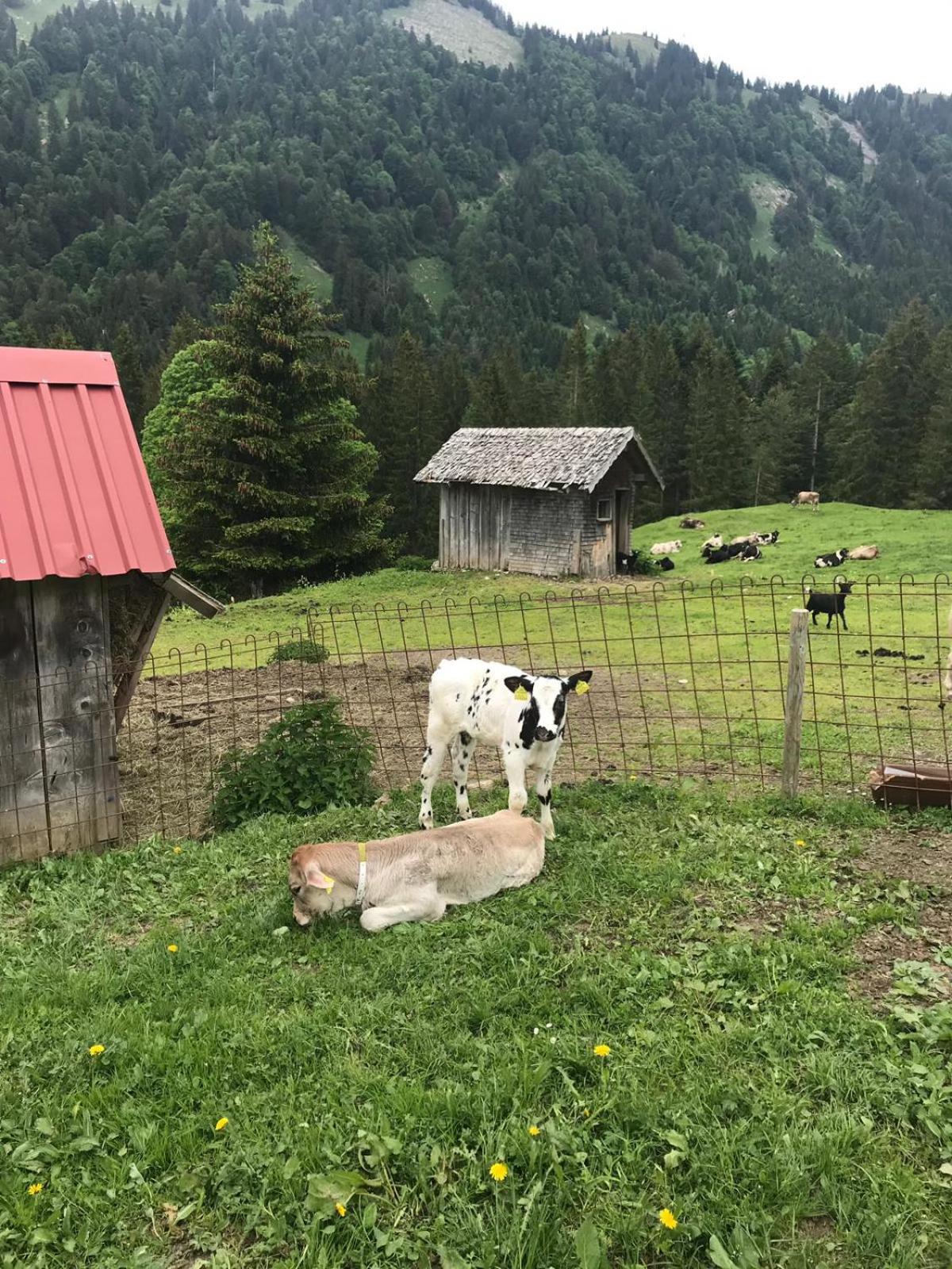 Jausenstation Neuschwand
