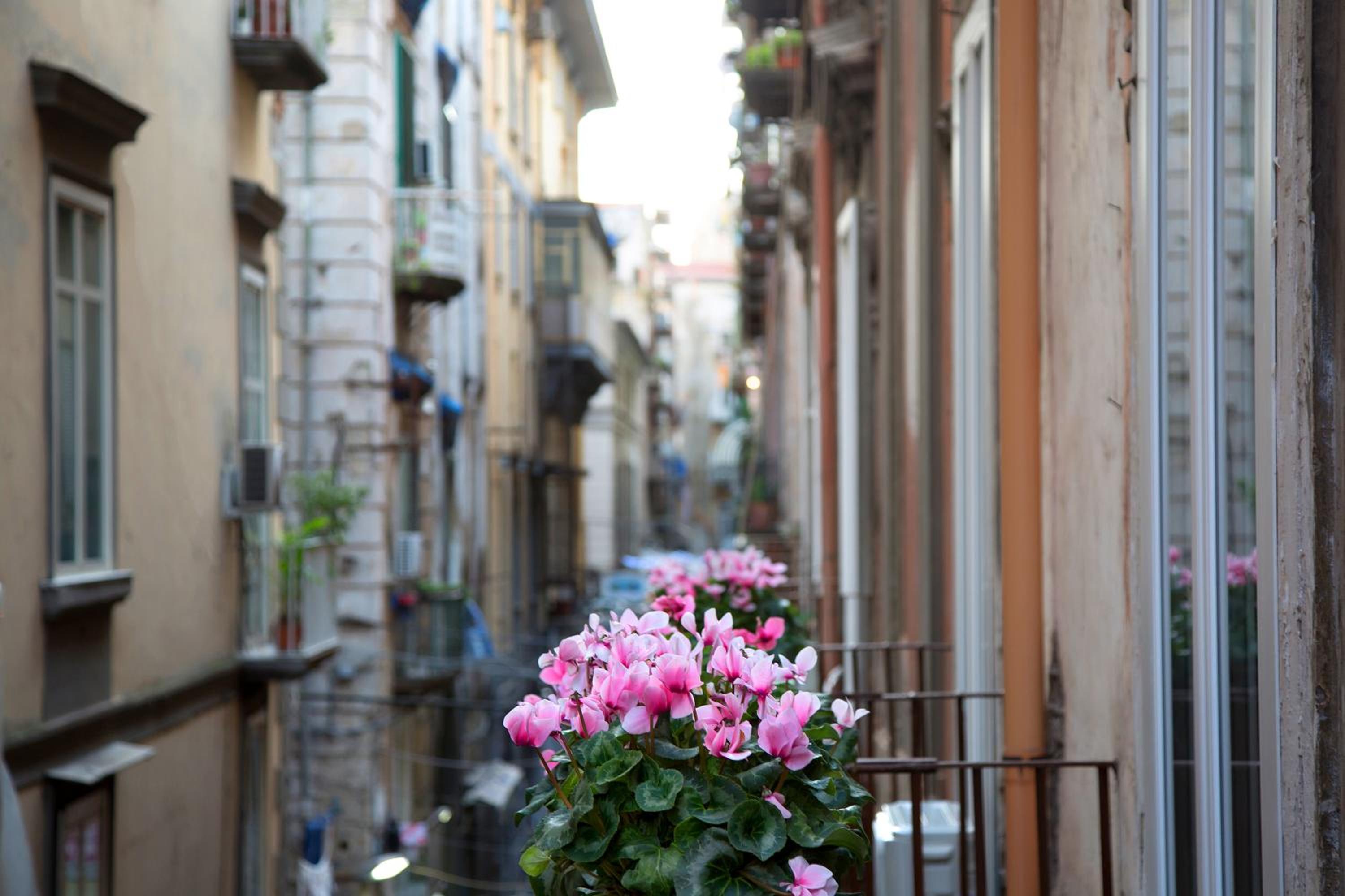 B&B Napoli Time en Naples — balance & terrace