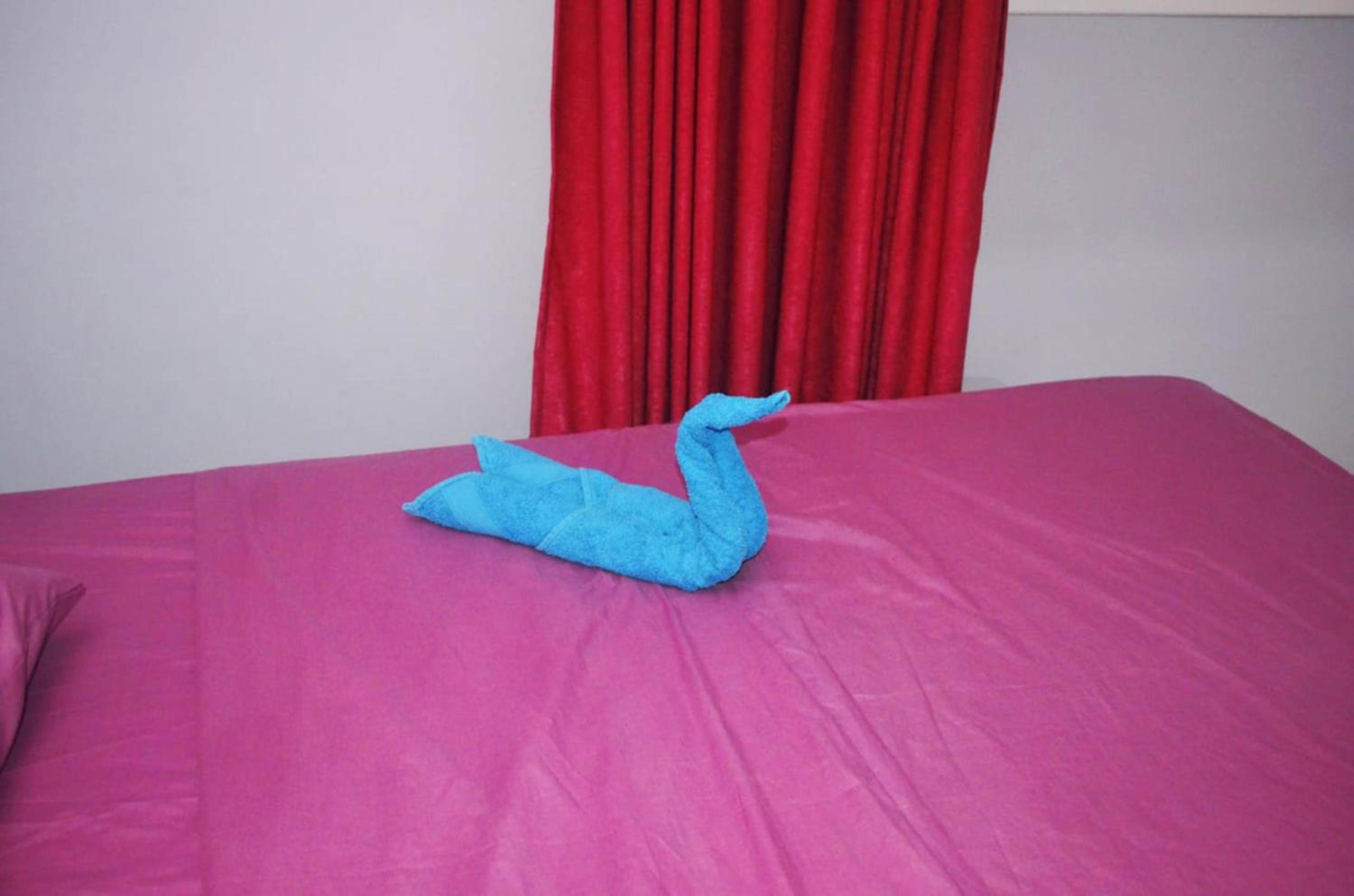 Photo 44