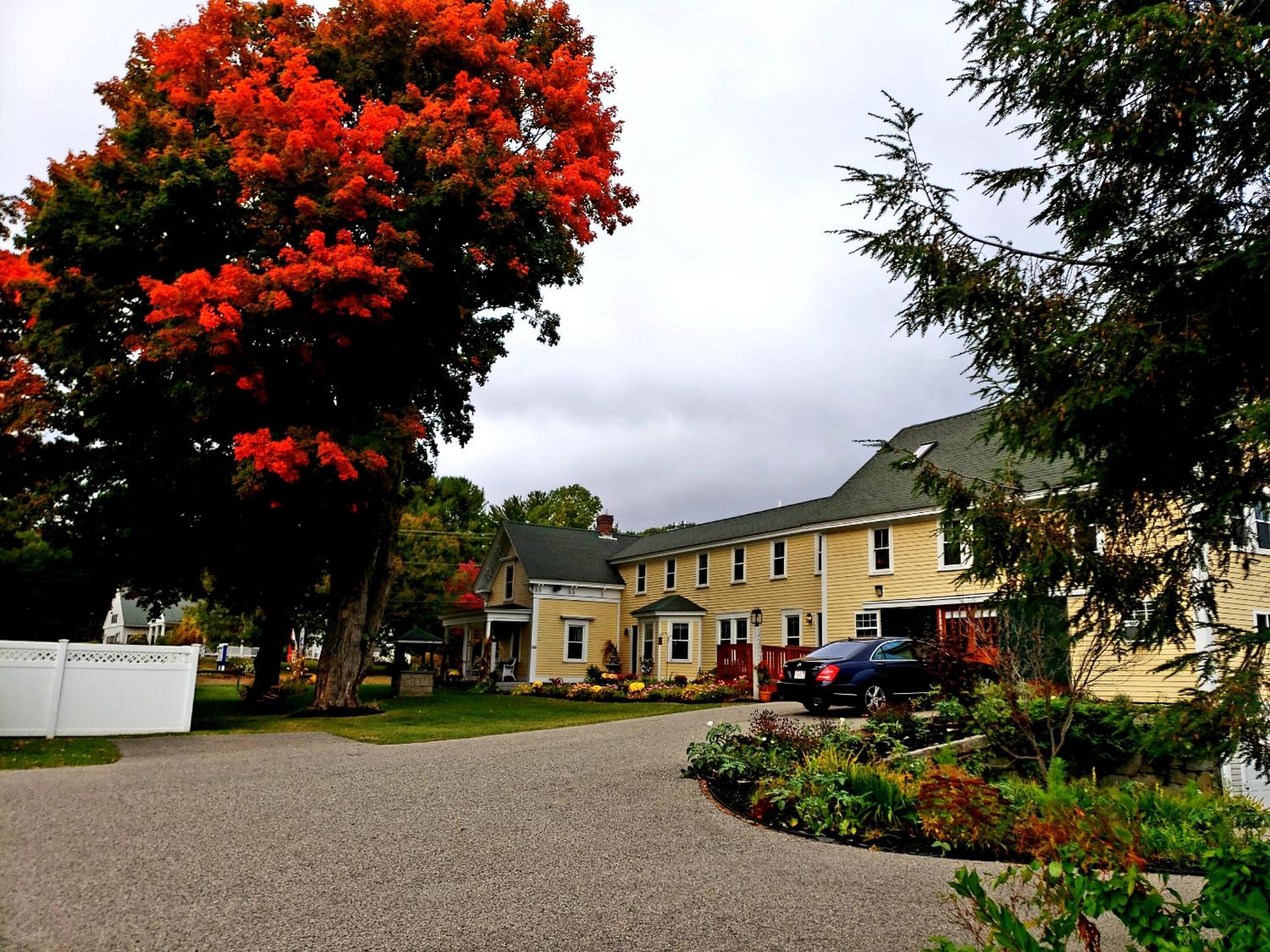 Elmere House Bed & Breakfast