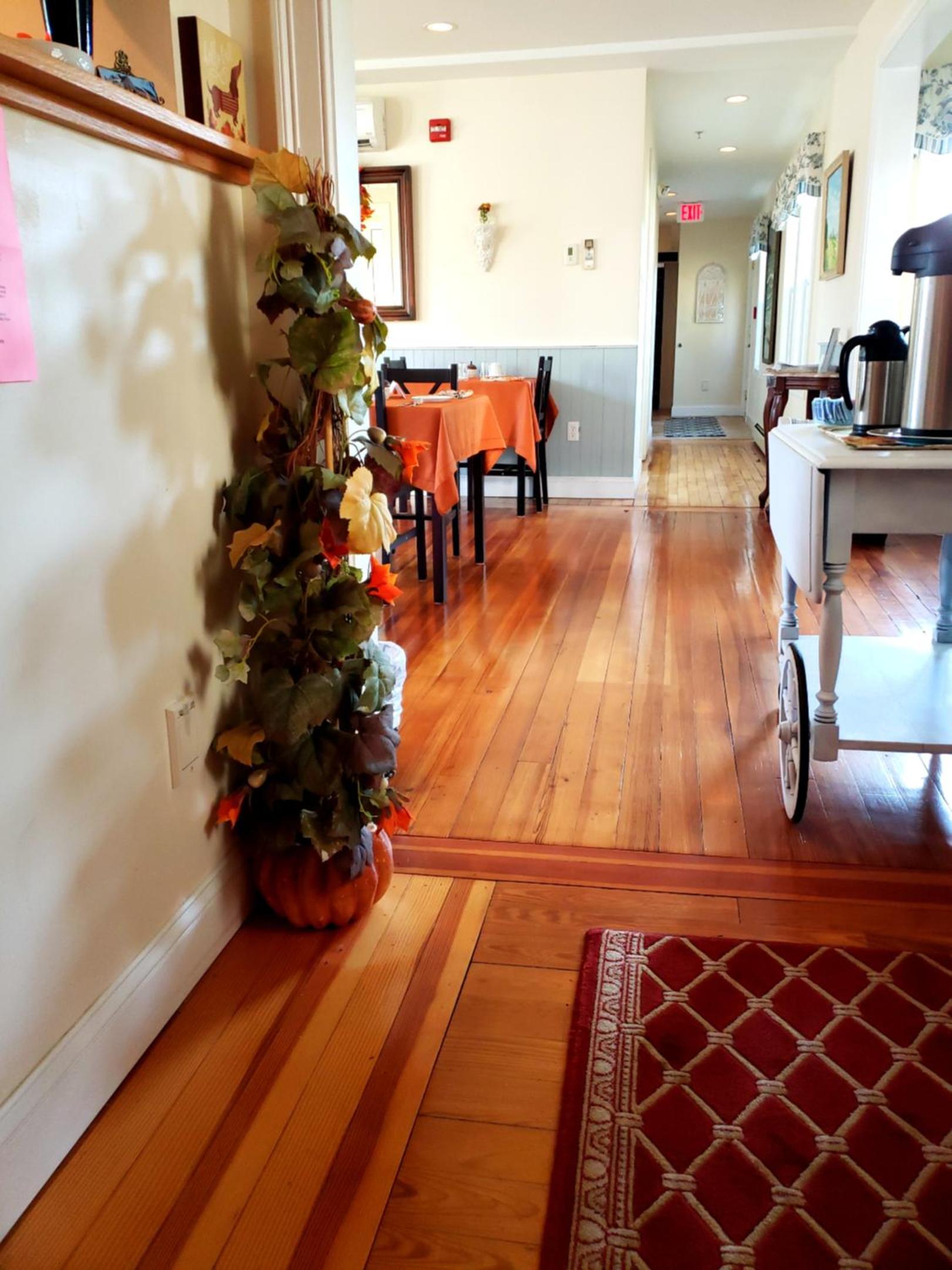 Elmere House Bed & Breakfast