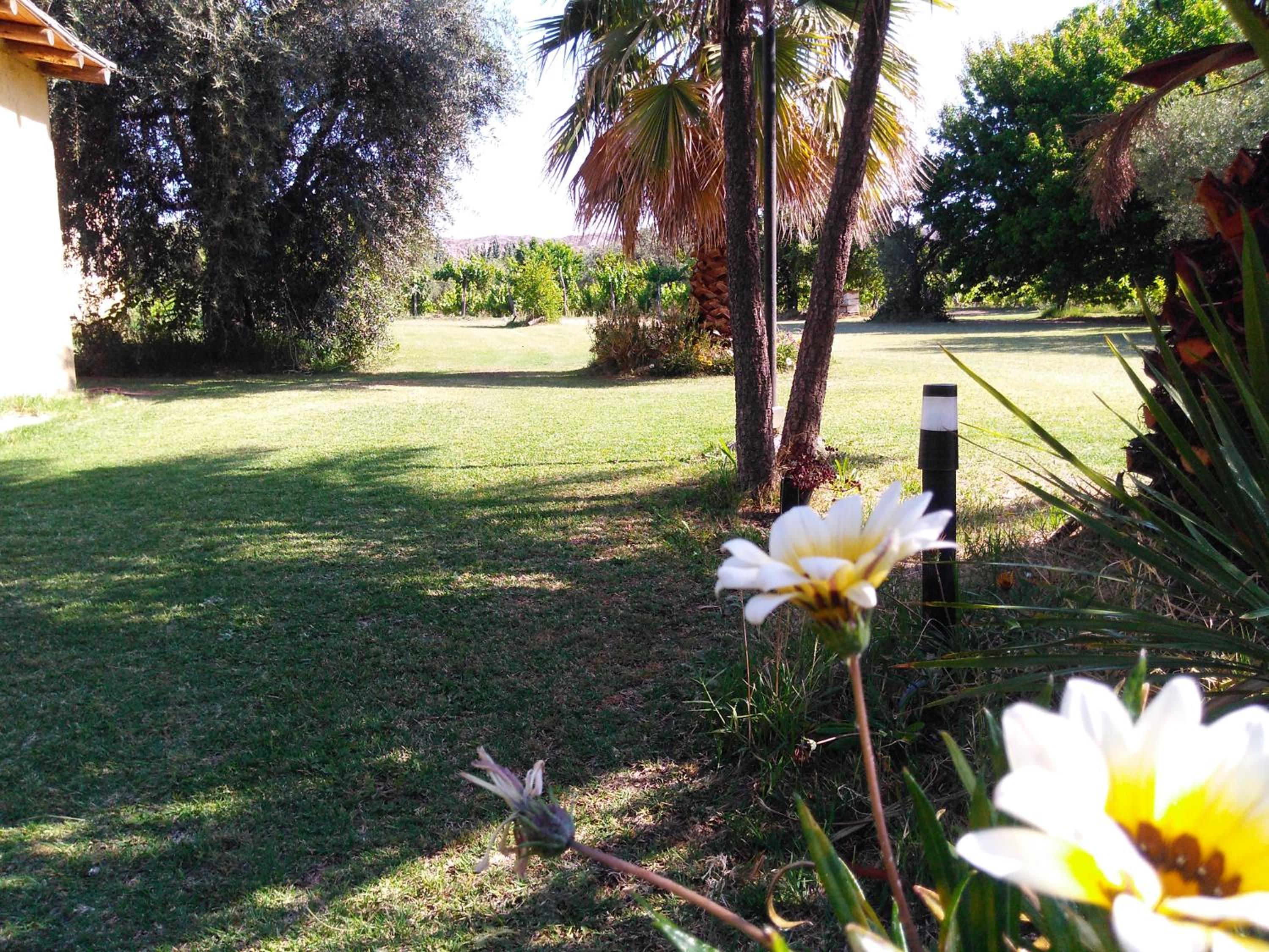 Finca Mula en Maipú — other