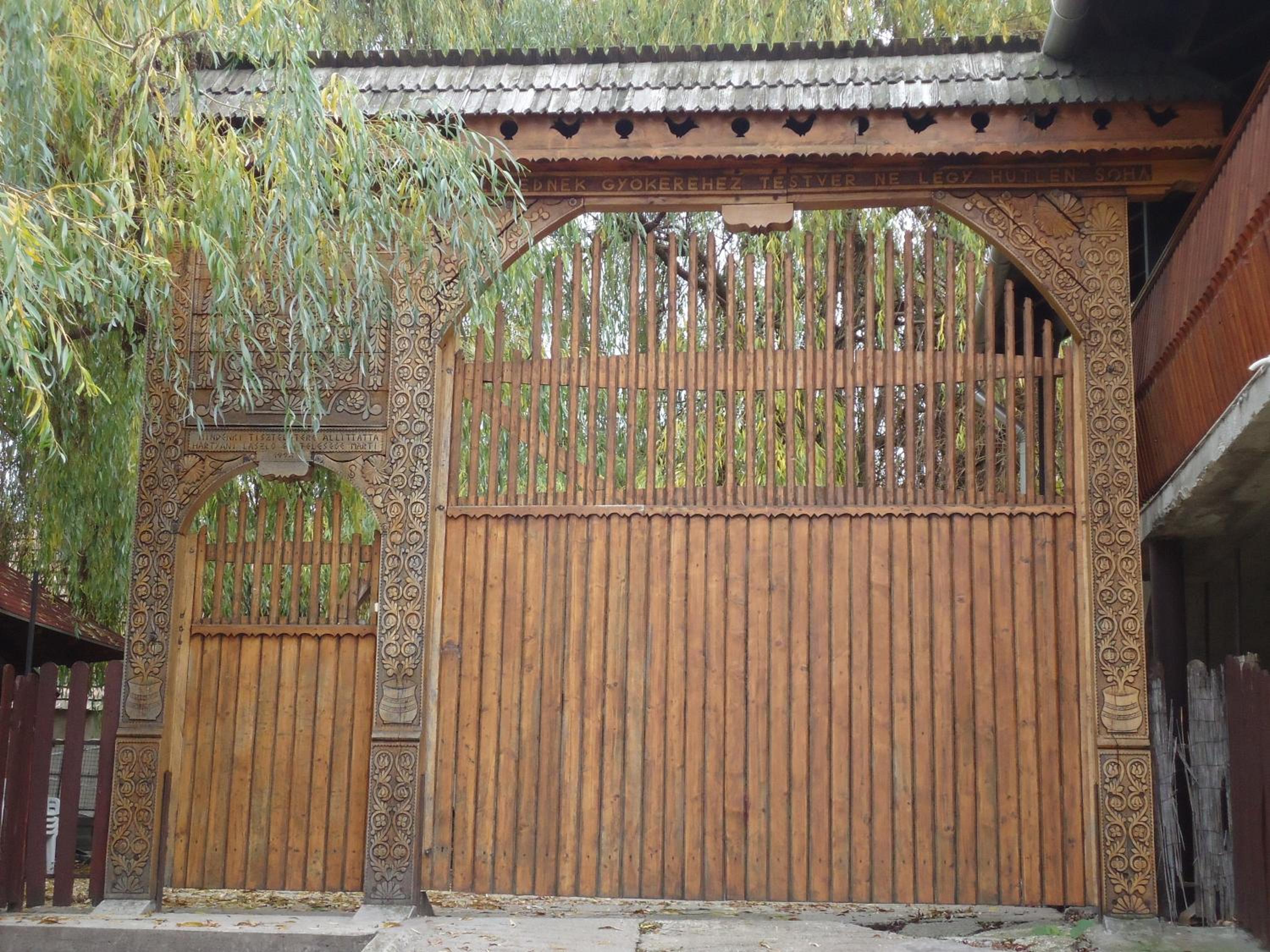 Photo 42