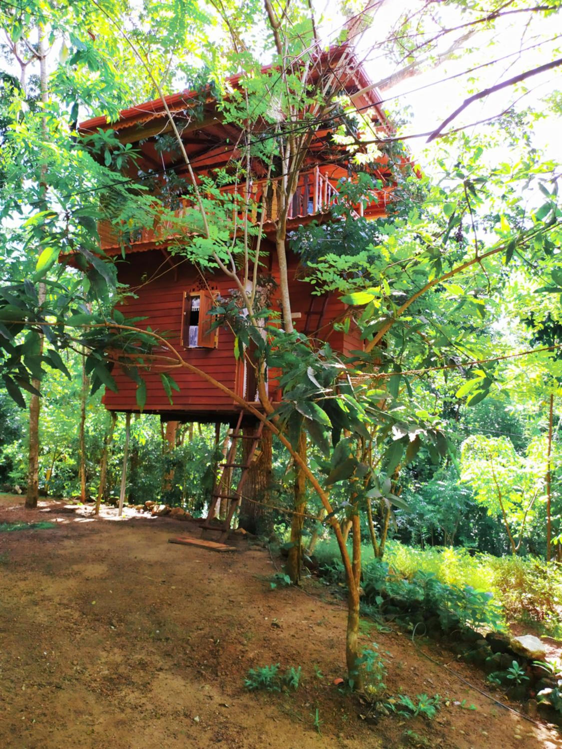 Tree House-Midigama view 2