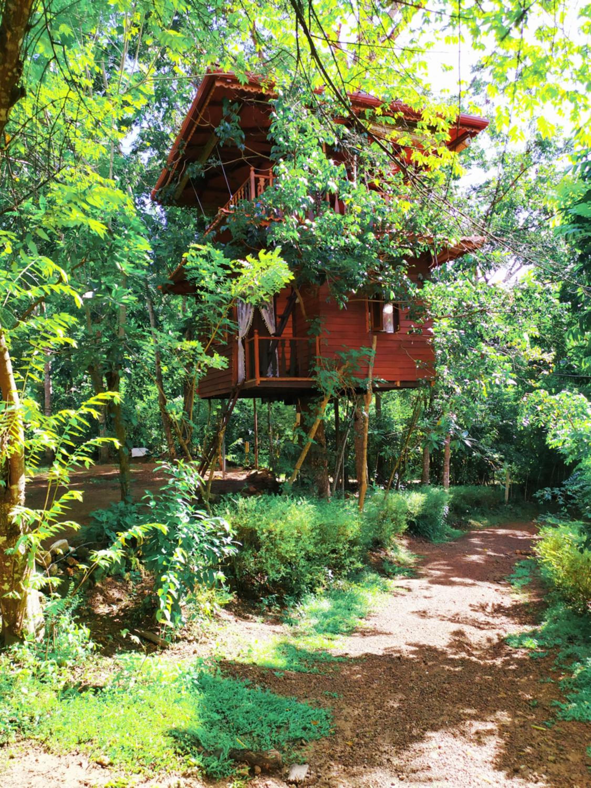 Tree House-Midigama view 4