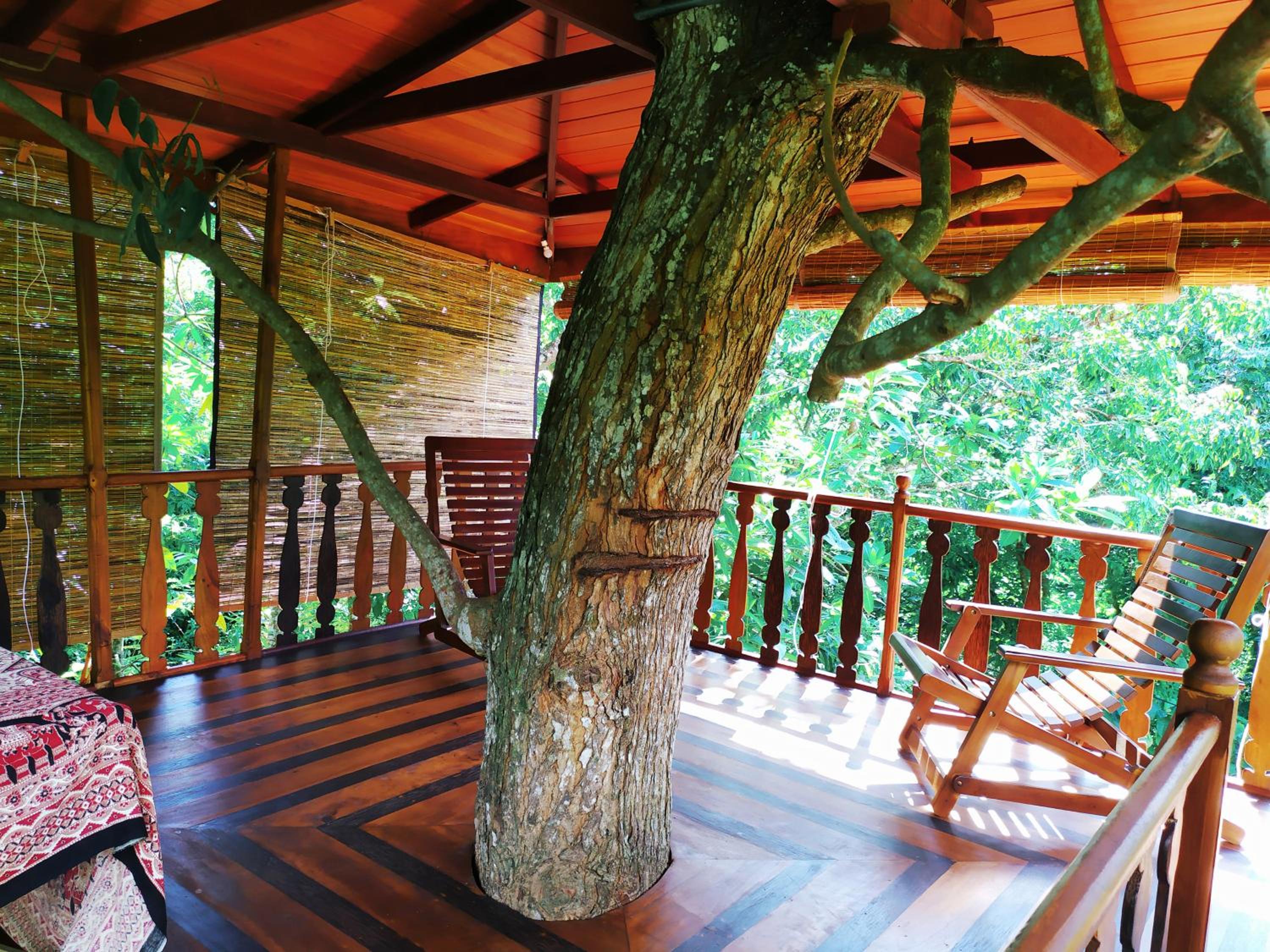Tree House-Midigama view 5