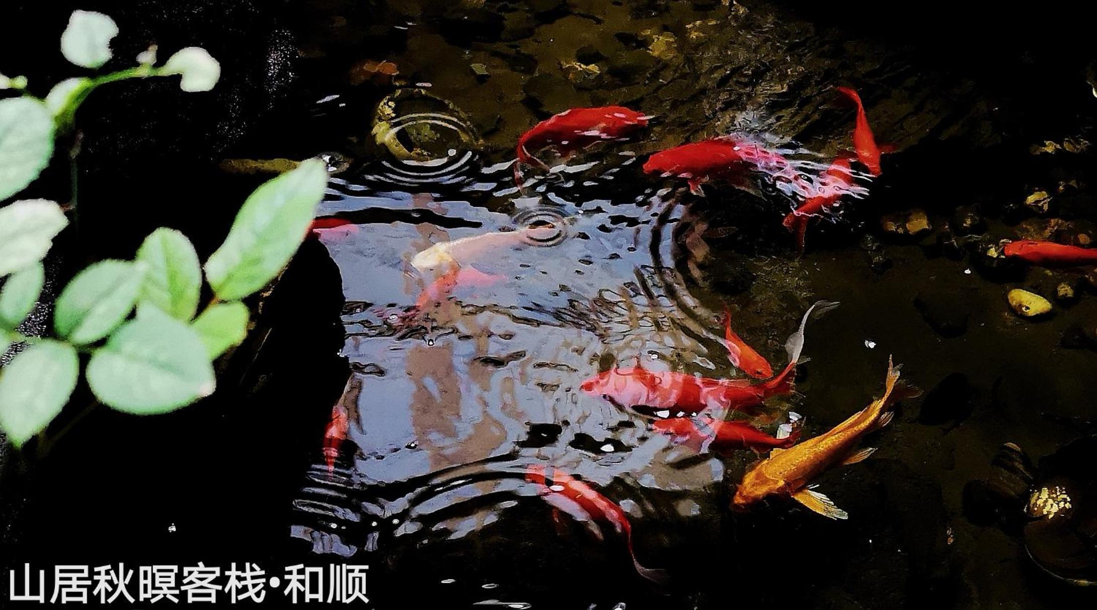 Shan Ju Qiu Ming Floral Hotel in Tengchong 花筑 腾冲山居秋暝精品客栈