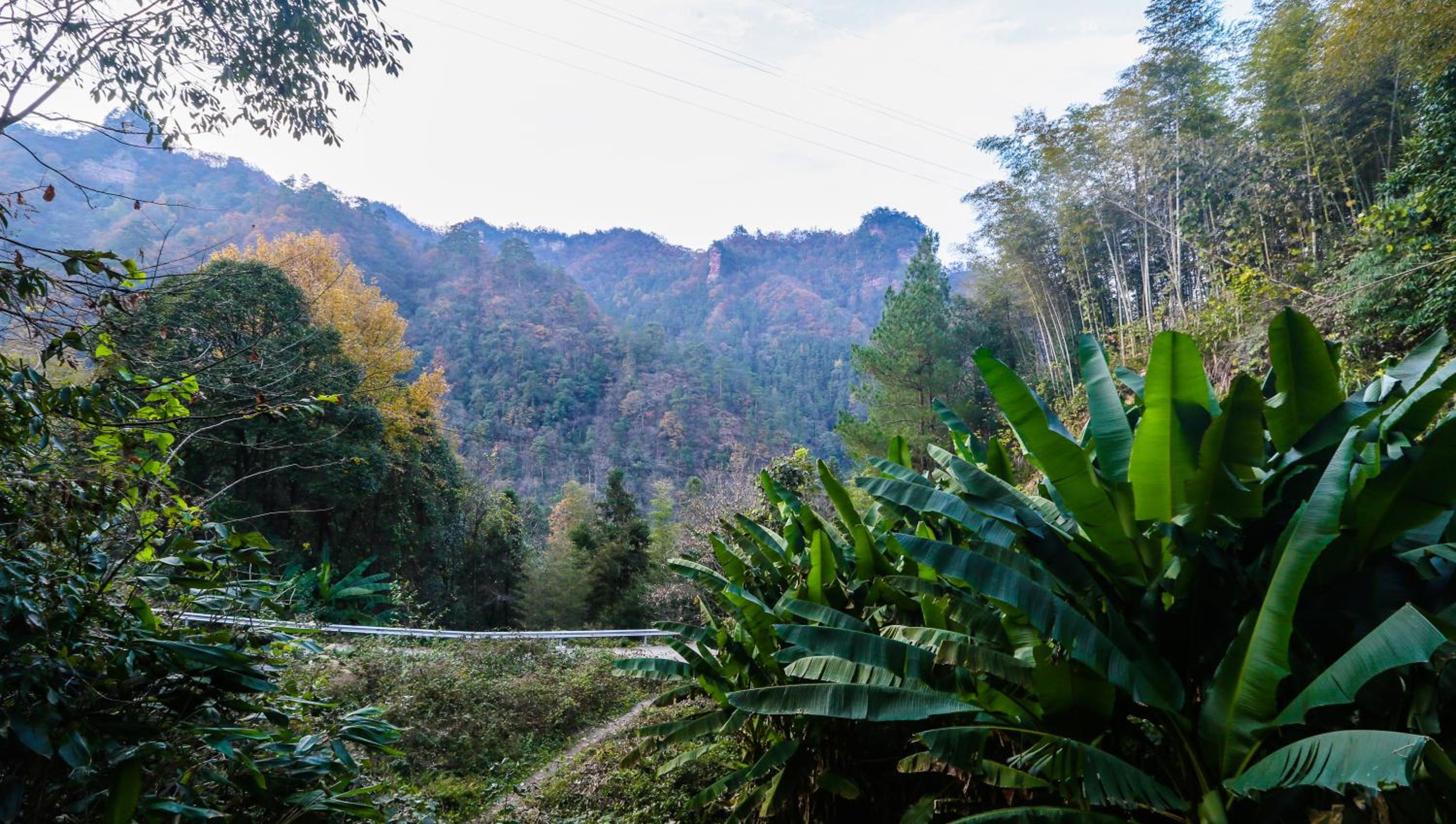 Zhangjiajie Mount View Cottage