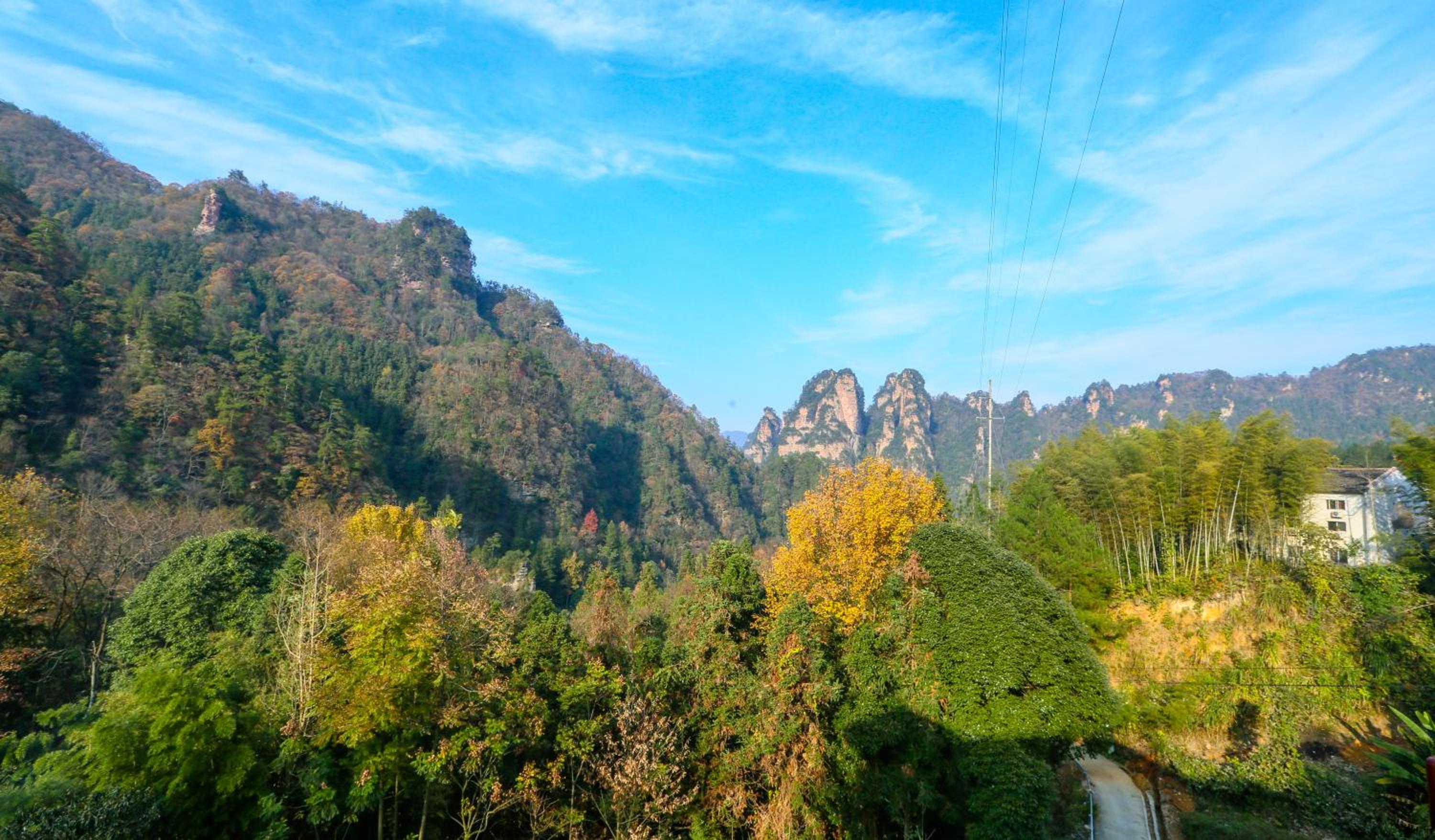 Zhangjiajie Mount View Cottage