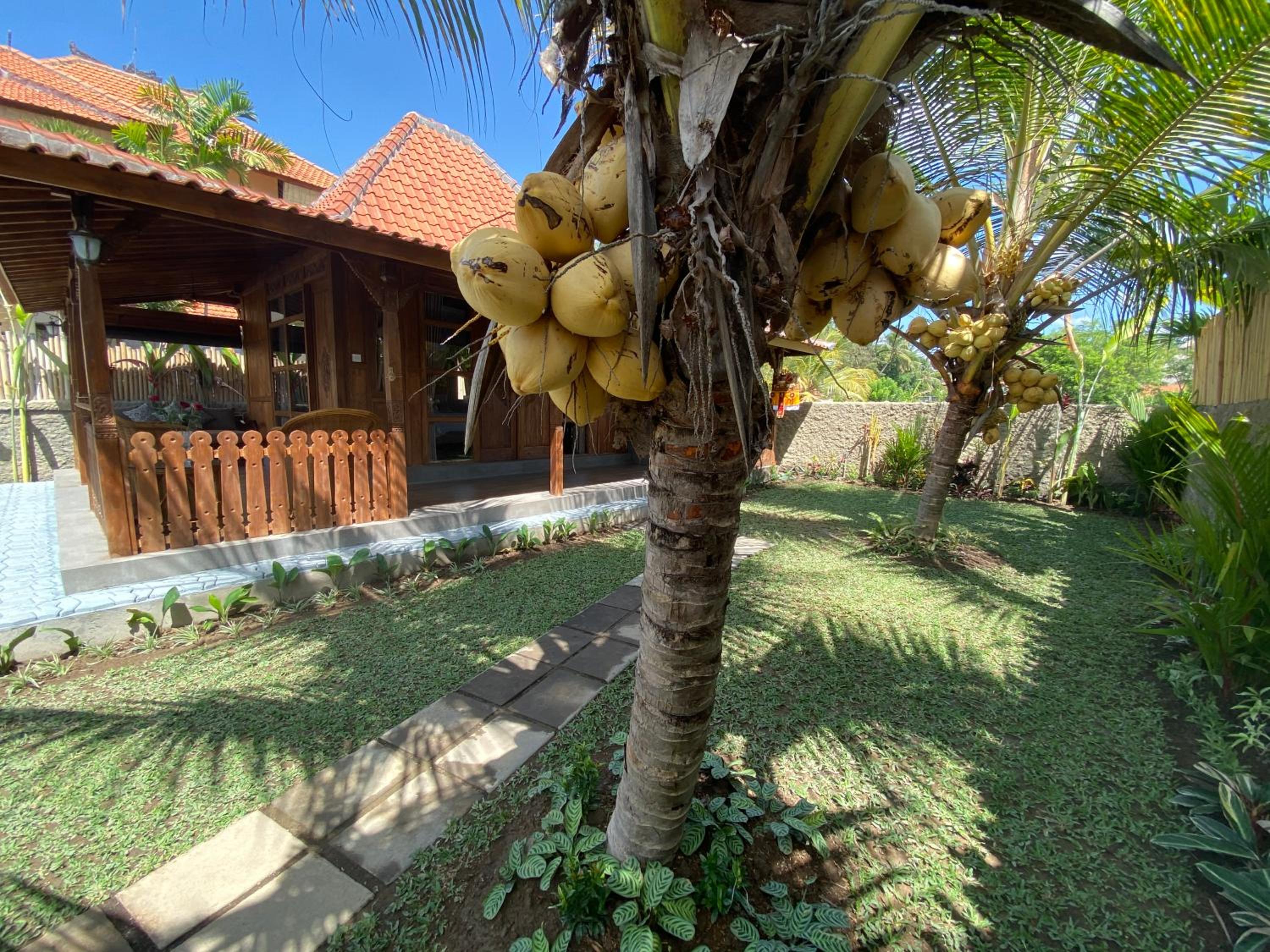 Uma Jati by Rumah Dadong view 3