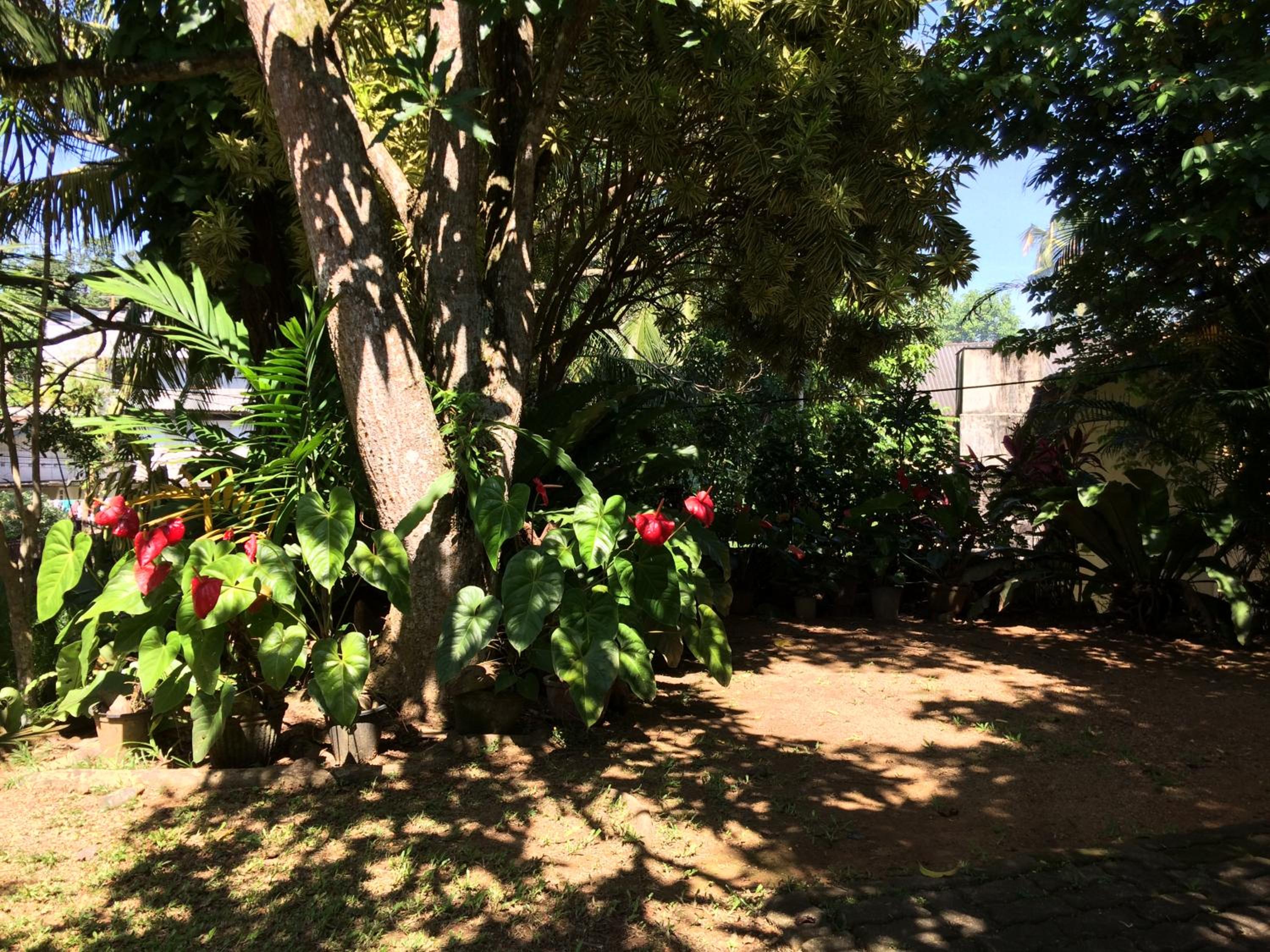 Galle Rest Home